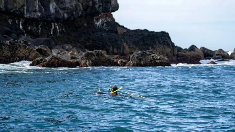 a person swimming in calm crystal clear water off cook island in fingal