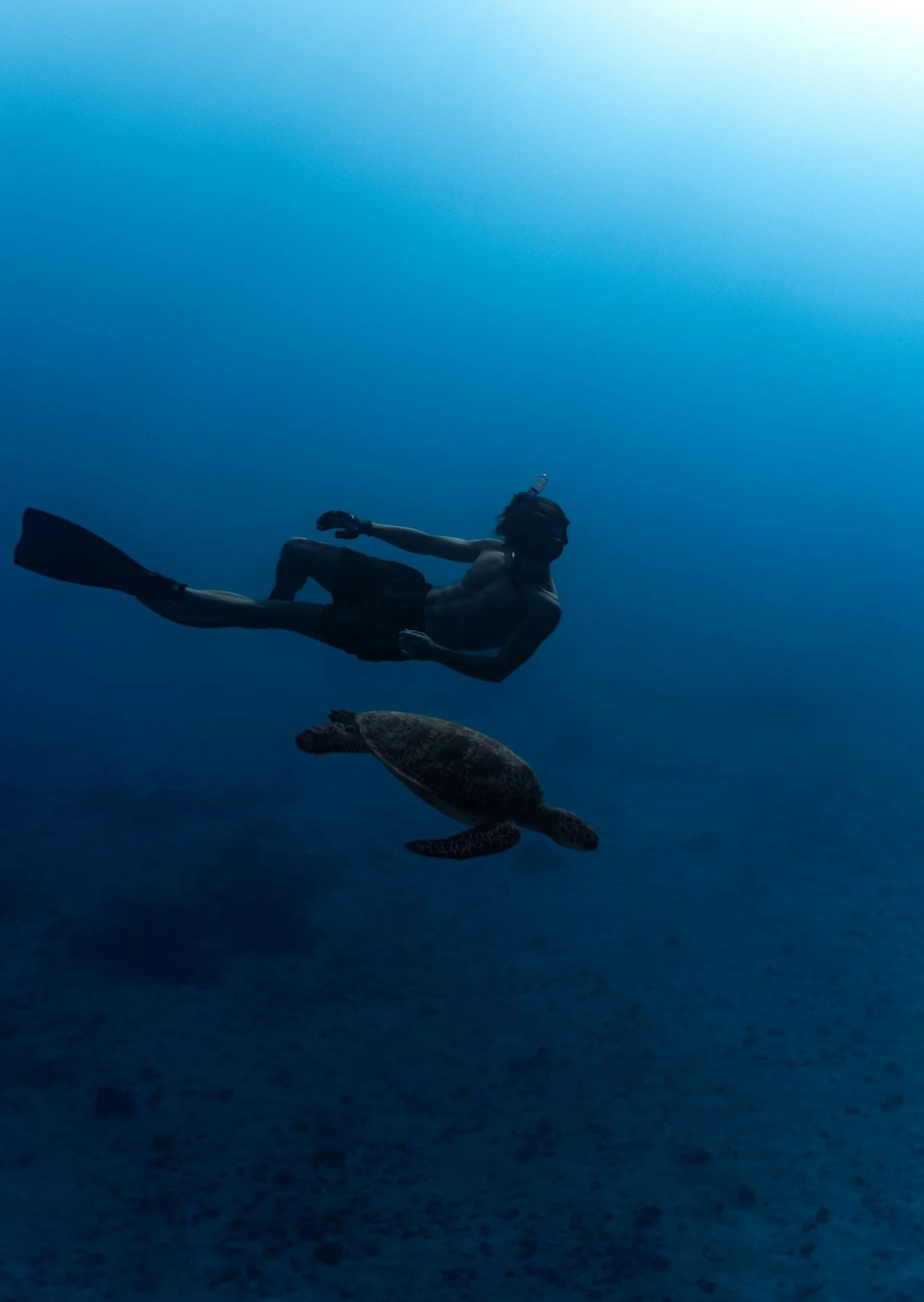 A diver swimming underwater alongside a sea turtle.