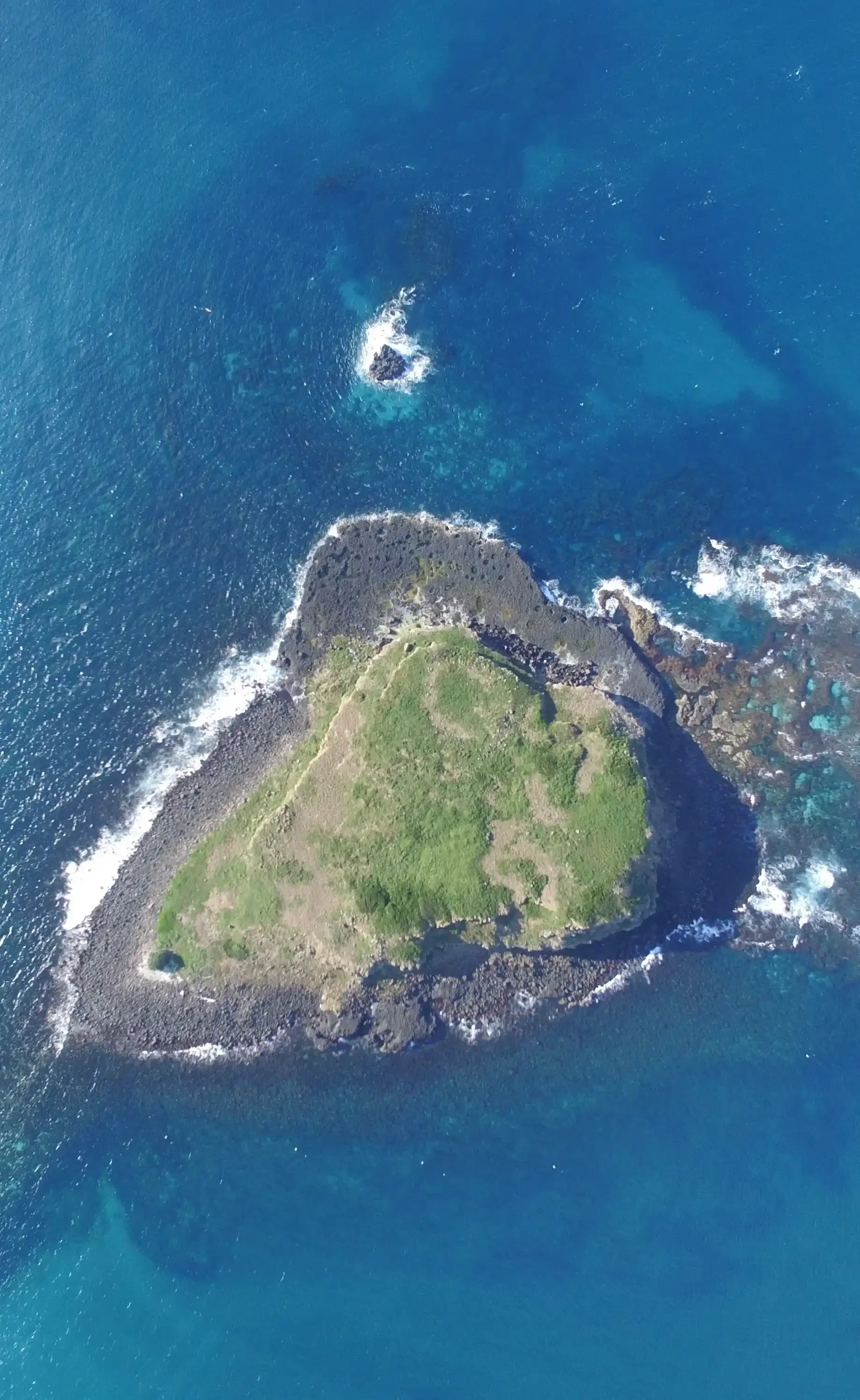 aerial view of cook island off fingal heads taken by a drone and shows the surrounding reef