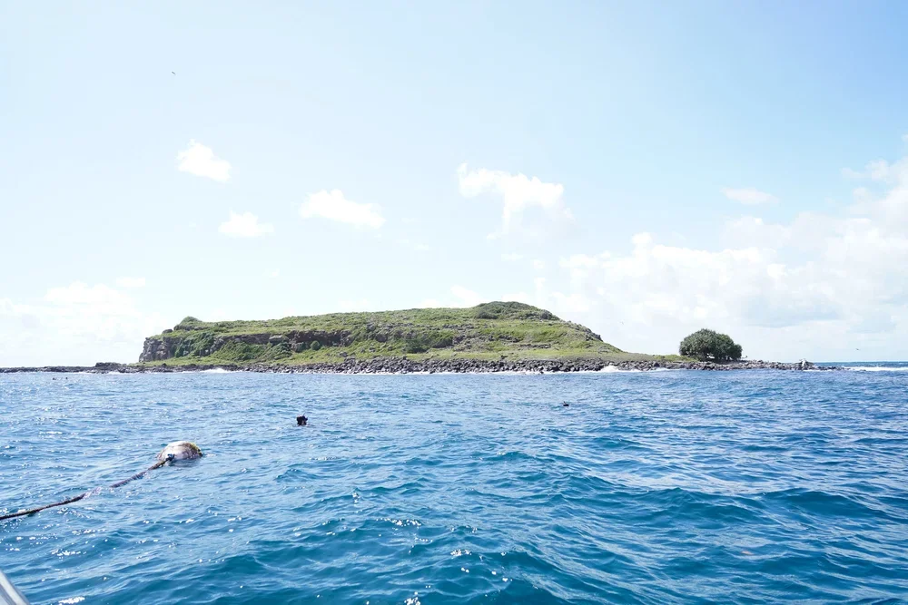 landscape image of cook island off fingal heads clam waters and clear bright sunny day