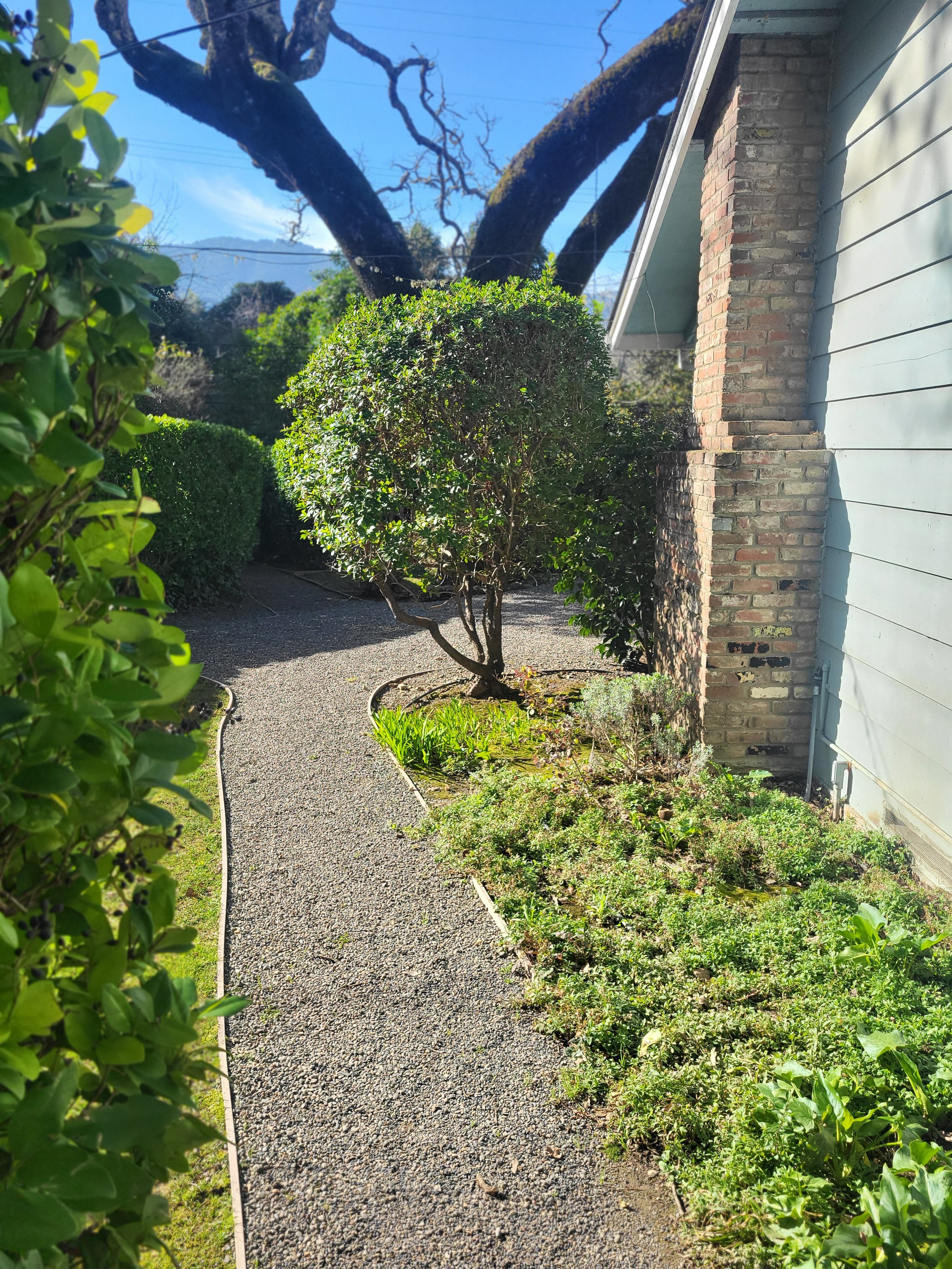 Path to Front Yard from Rear Parking and Patio