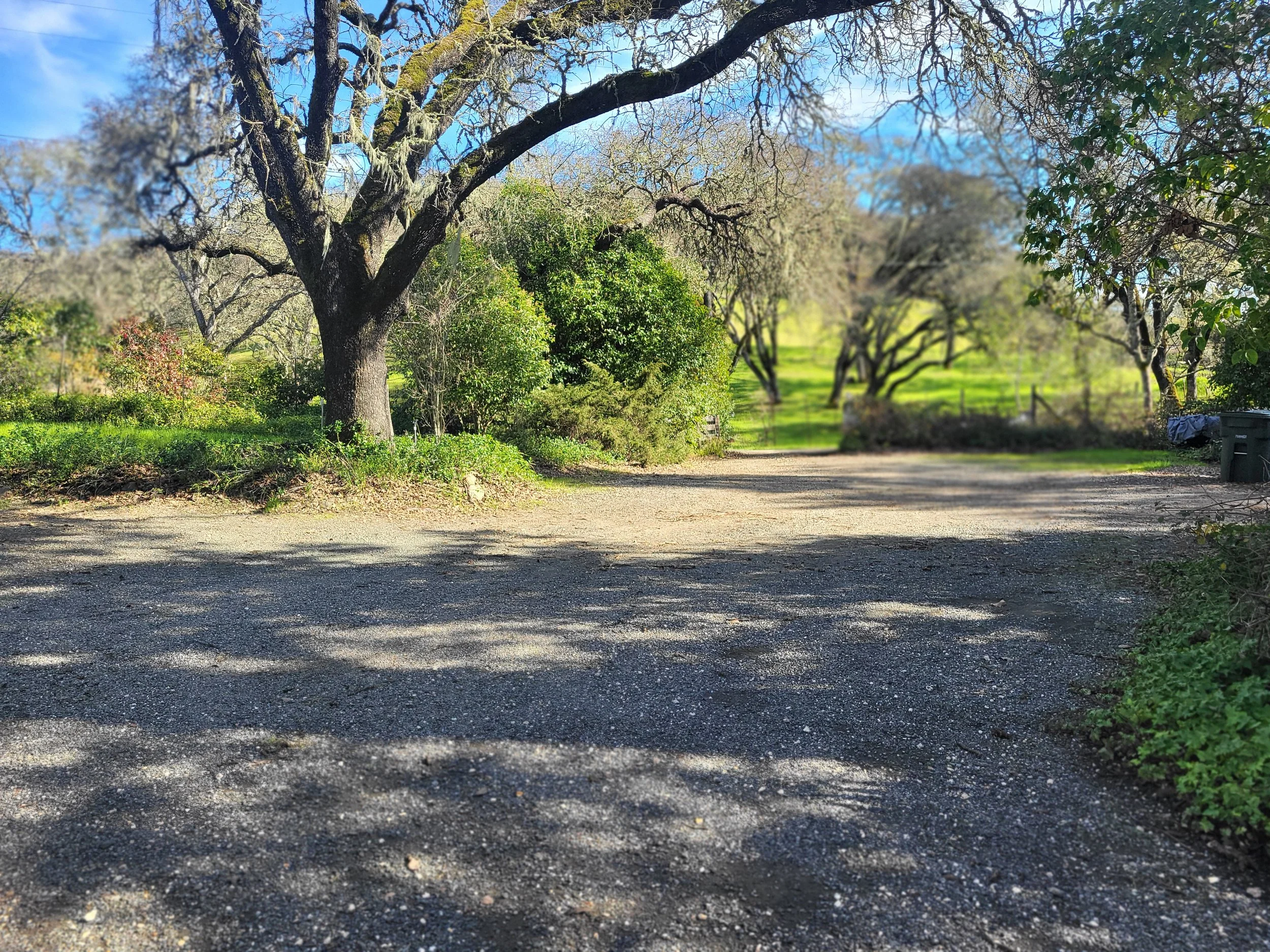 Rear Parking. Room for a crowd