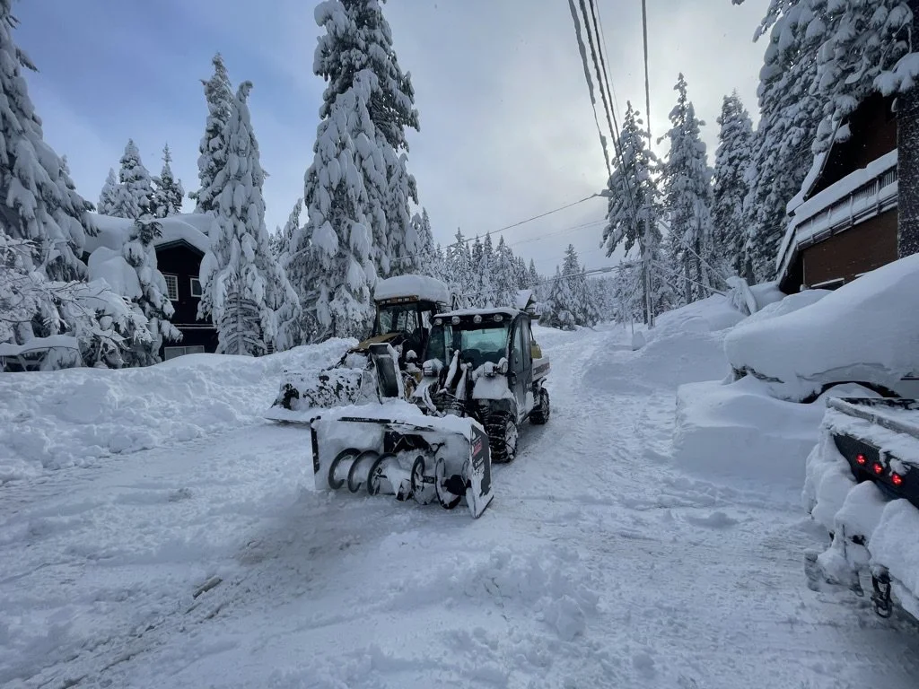A snow-covered road with two snowplows working, surrounded by tall snow-laden trees and houses. Power lines run above the scene.