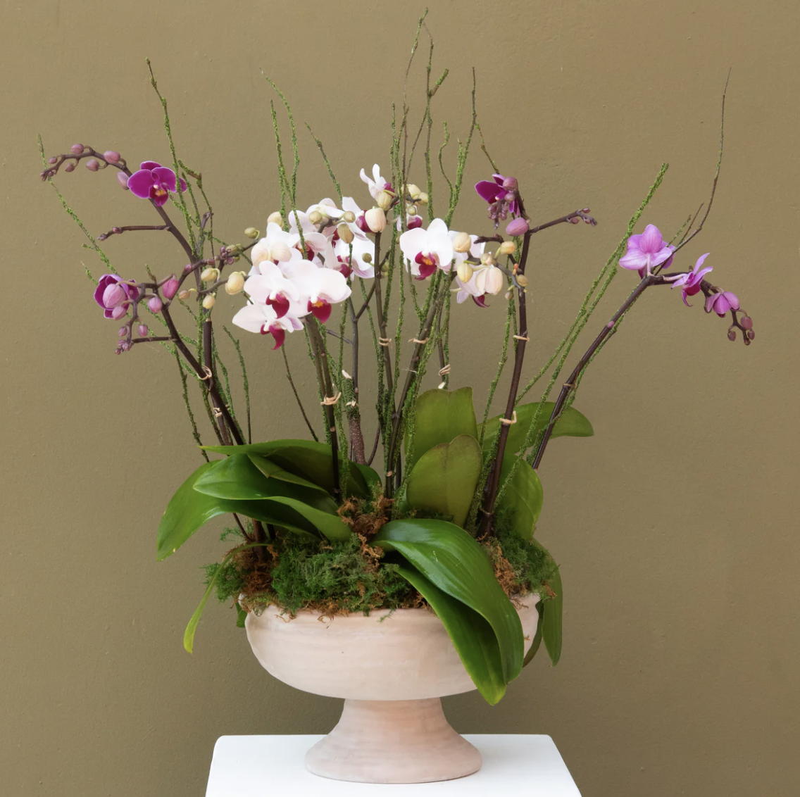 Large Orchid Arrangement