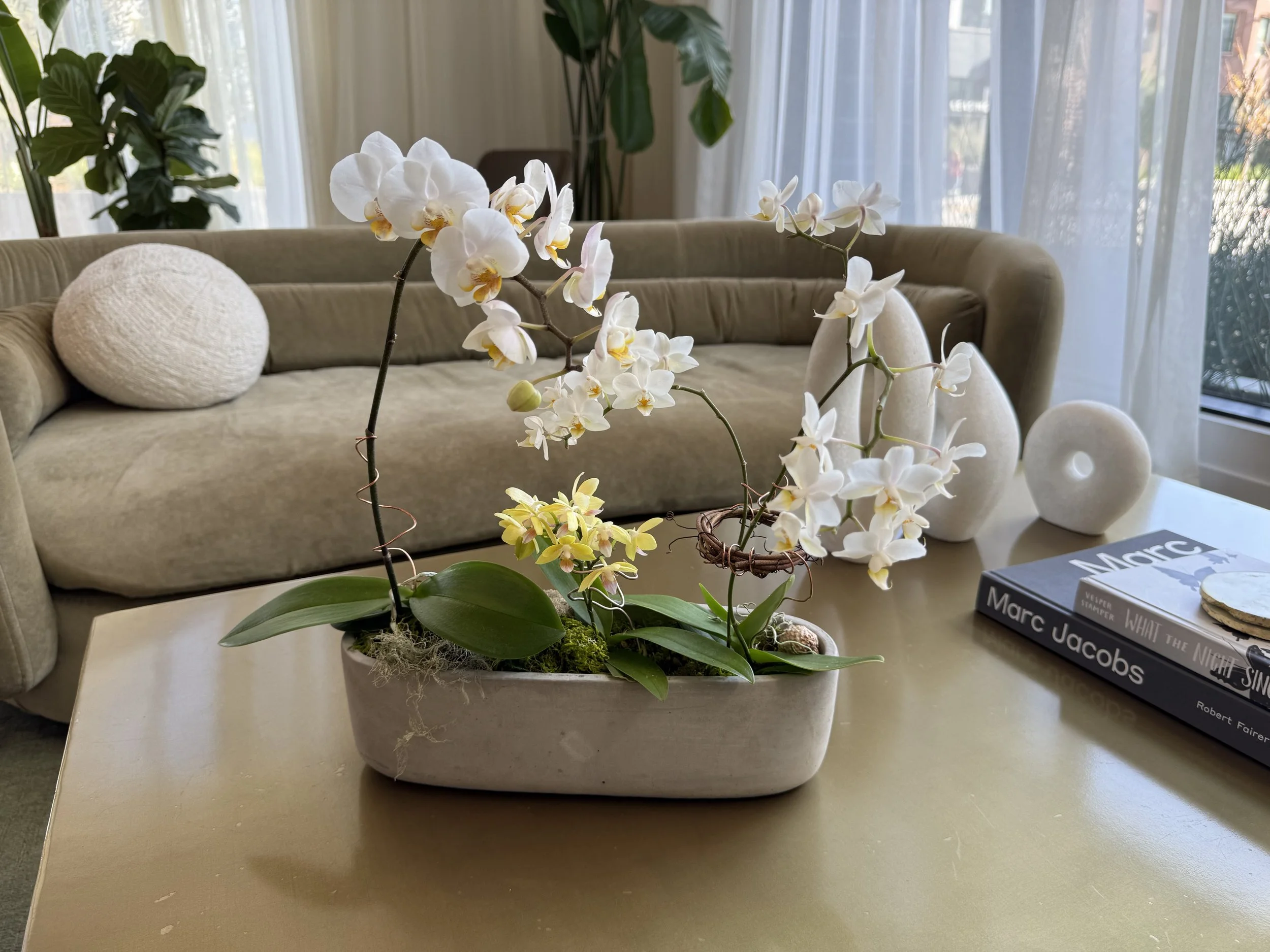 Small Orchid Arrangement