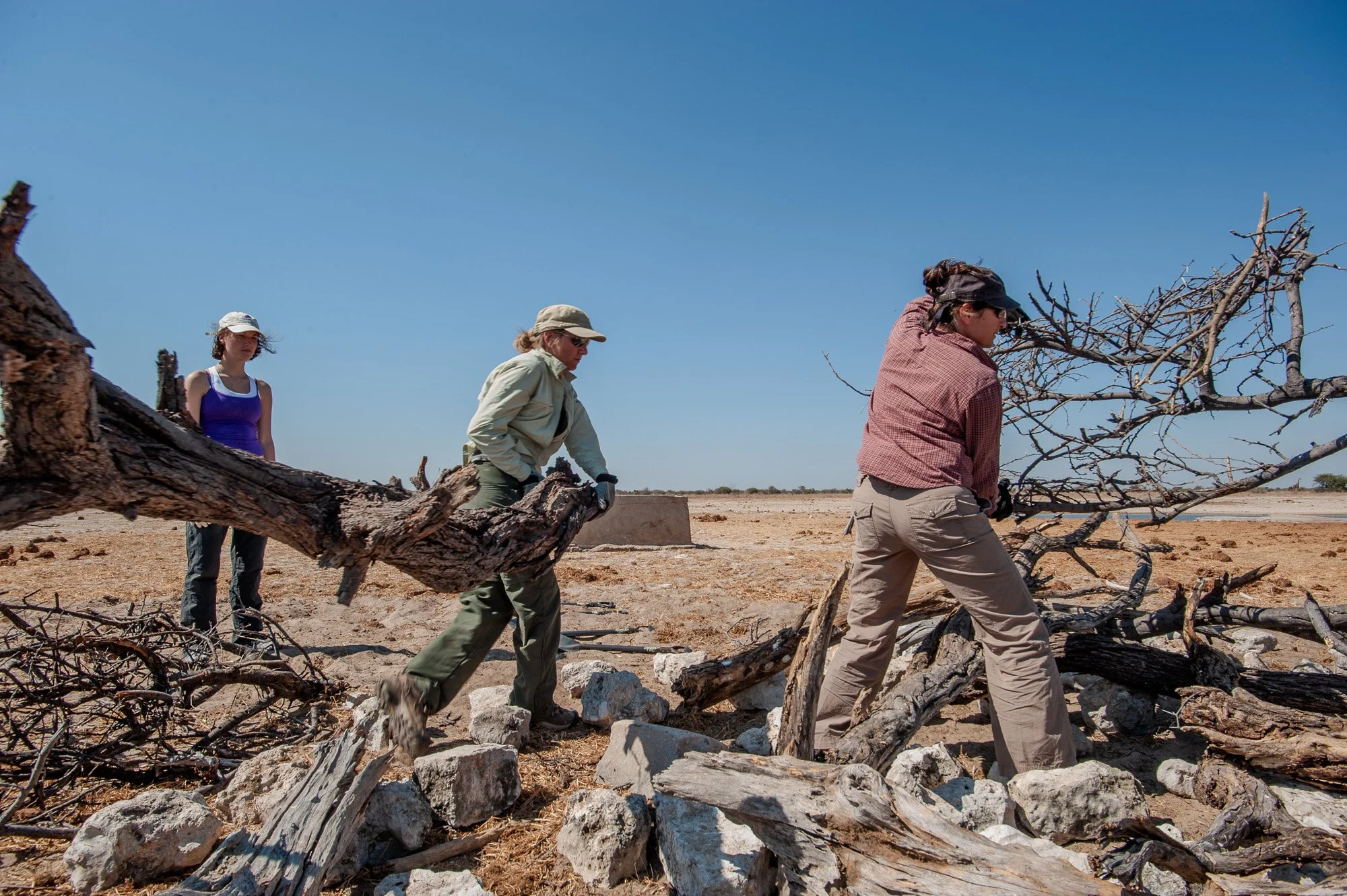 Four people in a dry, arid landscape removing fallen tree branches and debris.