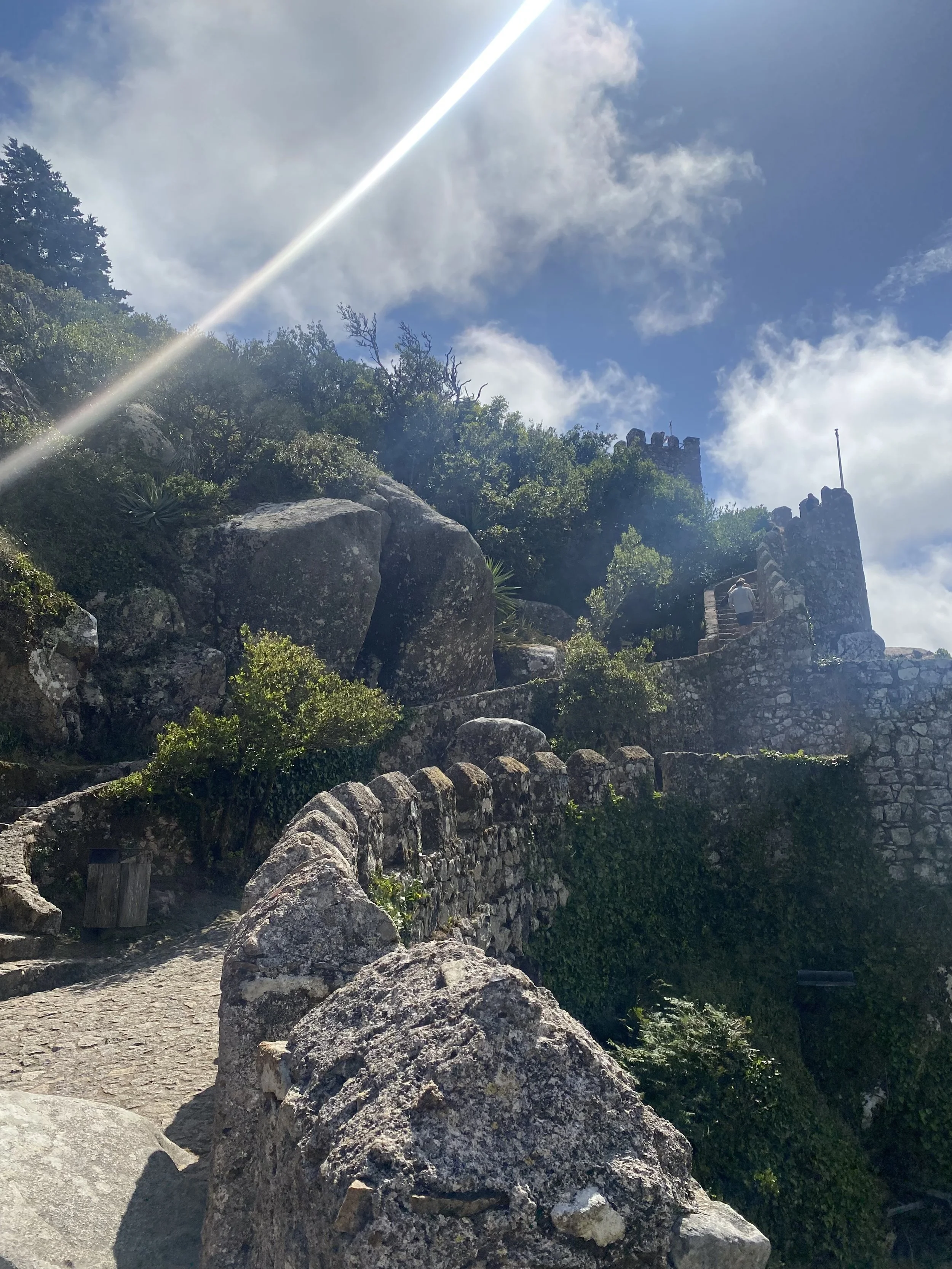 A modern house with wooden vertical panels and large glass window, set against a mountainous landscape with dry grass and small trees in the foreground.