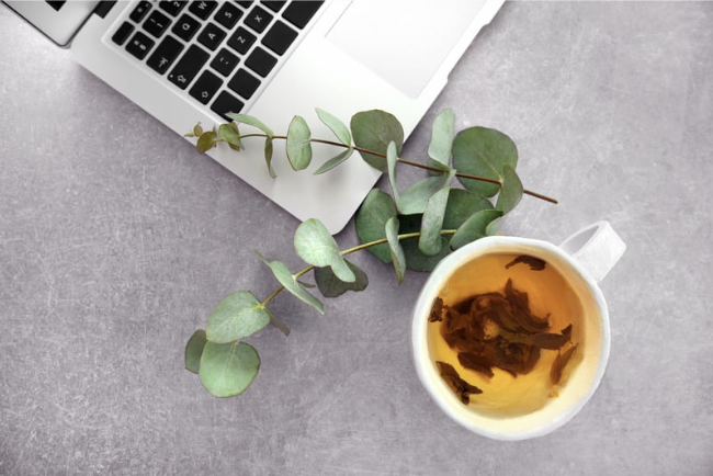 Laptop, eucalyptus branch, and a cup of tea on a gray surface.