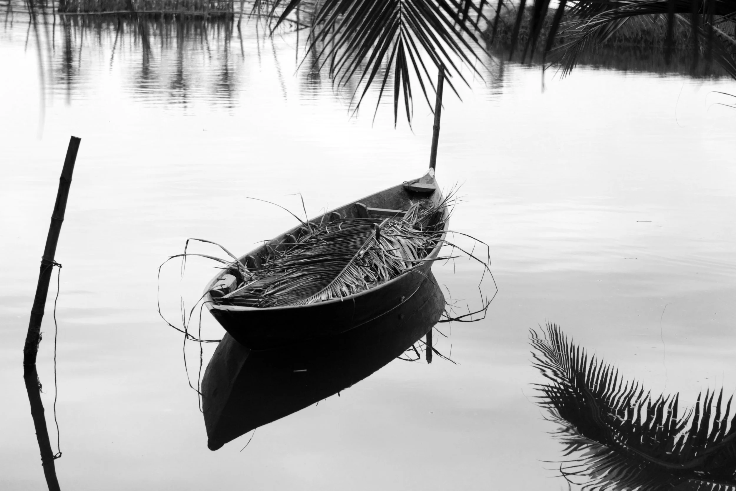 boat.jpg