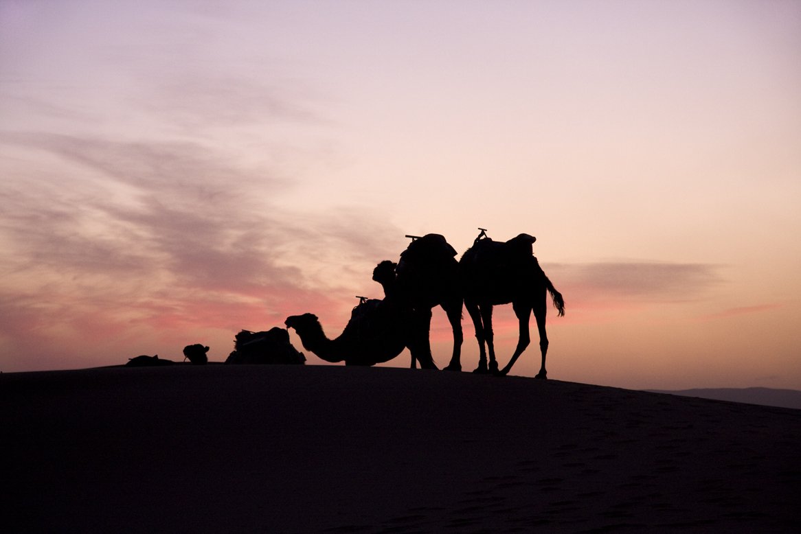 cameldown.jpg