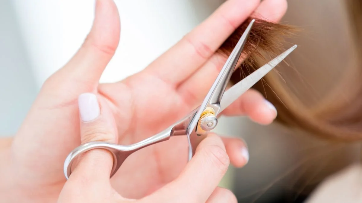 Close-up of a hairdresser using scissors to cut a person's hair.