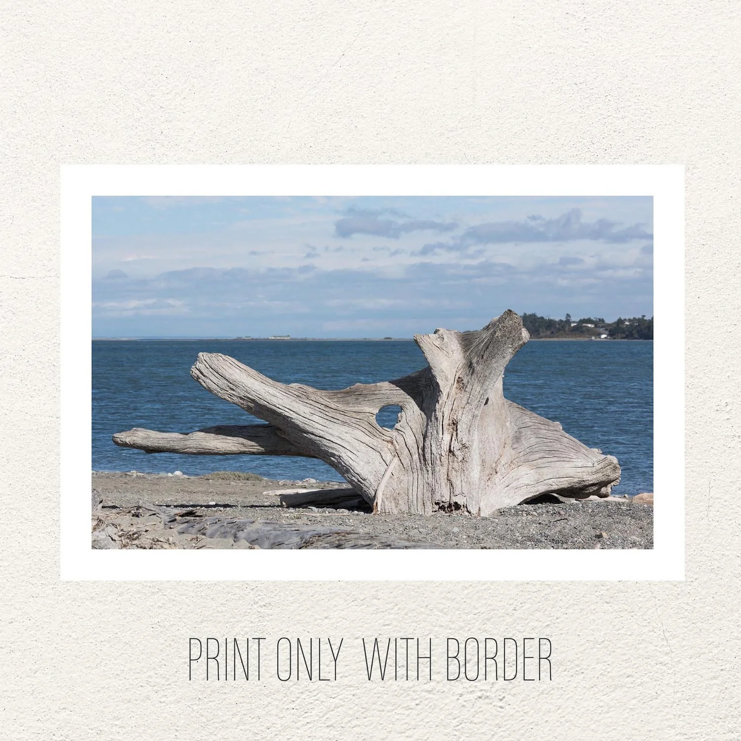 The-wanderer-Print-with-Border-theluxeprint-parlor Small_1x1_1500x1500_G_0.jpg