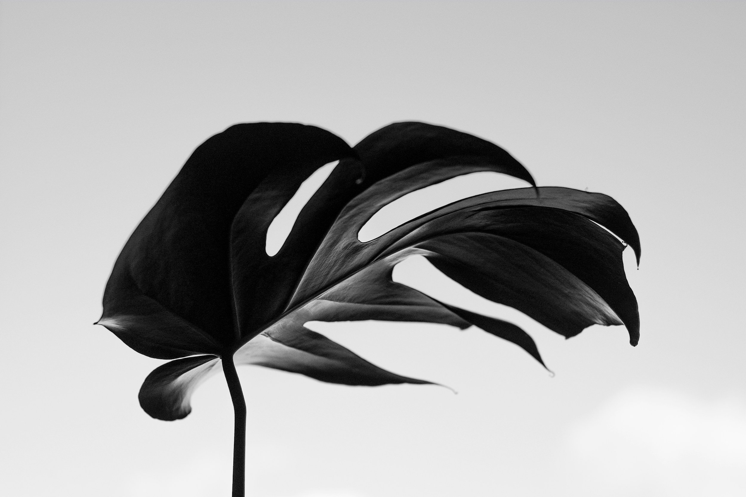 What Is Energy Healing — And Can It Really Help with Grief?