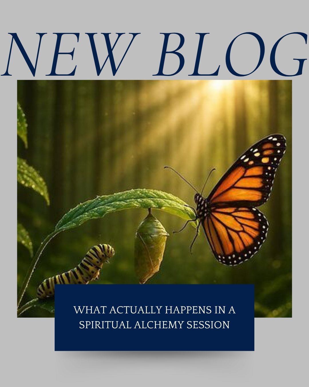 Spiritual Alchemy is a profound timeline therapy&mdash;a stand-alone modality that operates at the level of deep, root-cause change, allowing you to break free from the shackles of your past. It's a powerful tool that identifies and releases the deep