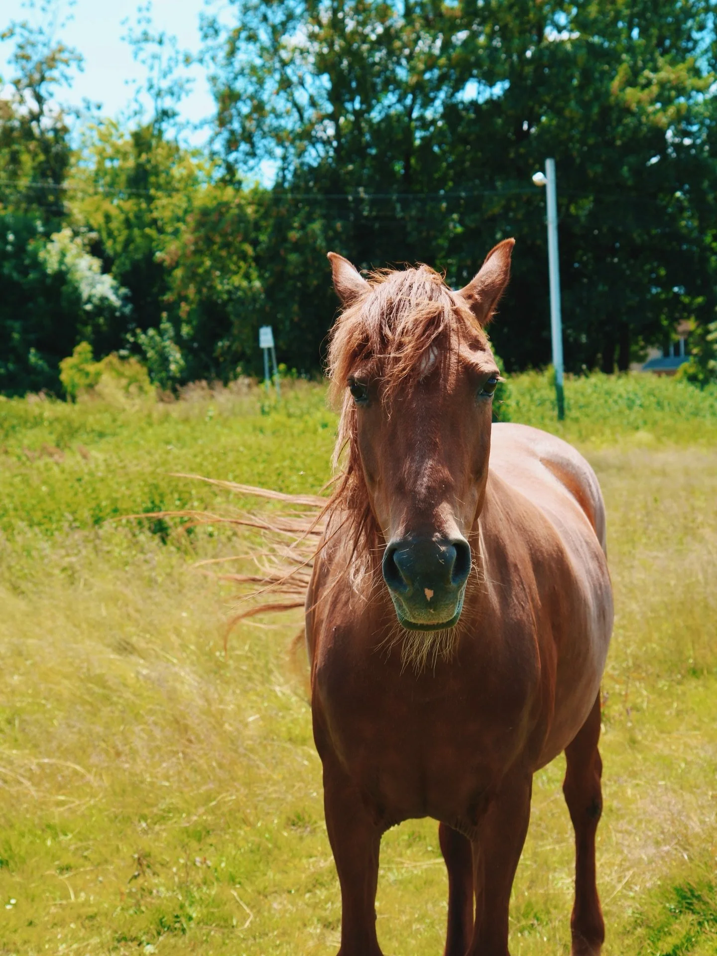 The villages of Ukraine are the peace to my soul 🌾 

&ldquo;Стежина в&rsquo;ється до хатини,
Де пахне м&rsquo;ята і тепло.
Тут серце рідне, тут родина,
Моє найкраще, миле село.&rdquo;

-Тарас Шевченко