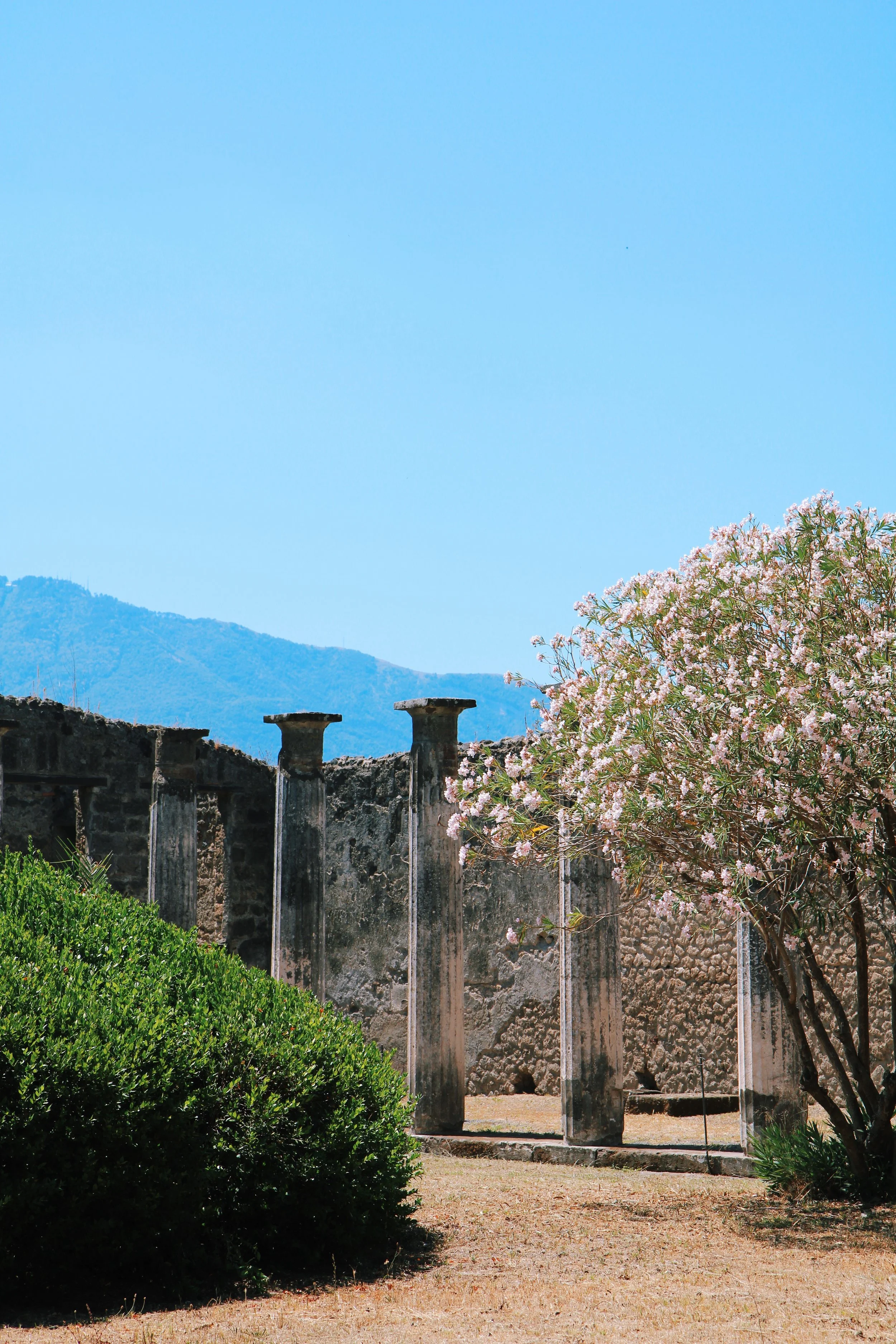 IMG_1237_VSCO (1).jpg