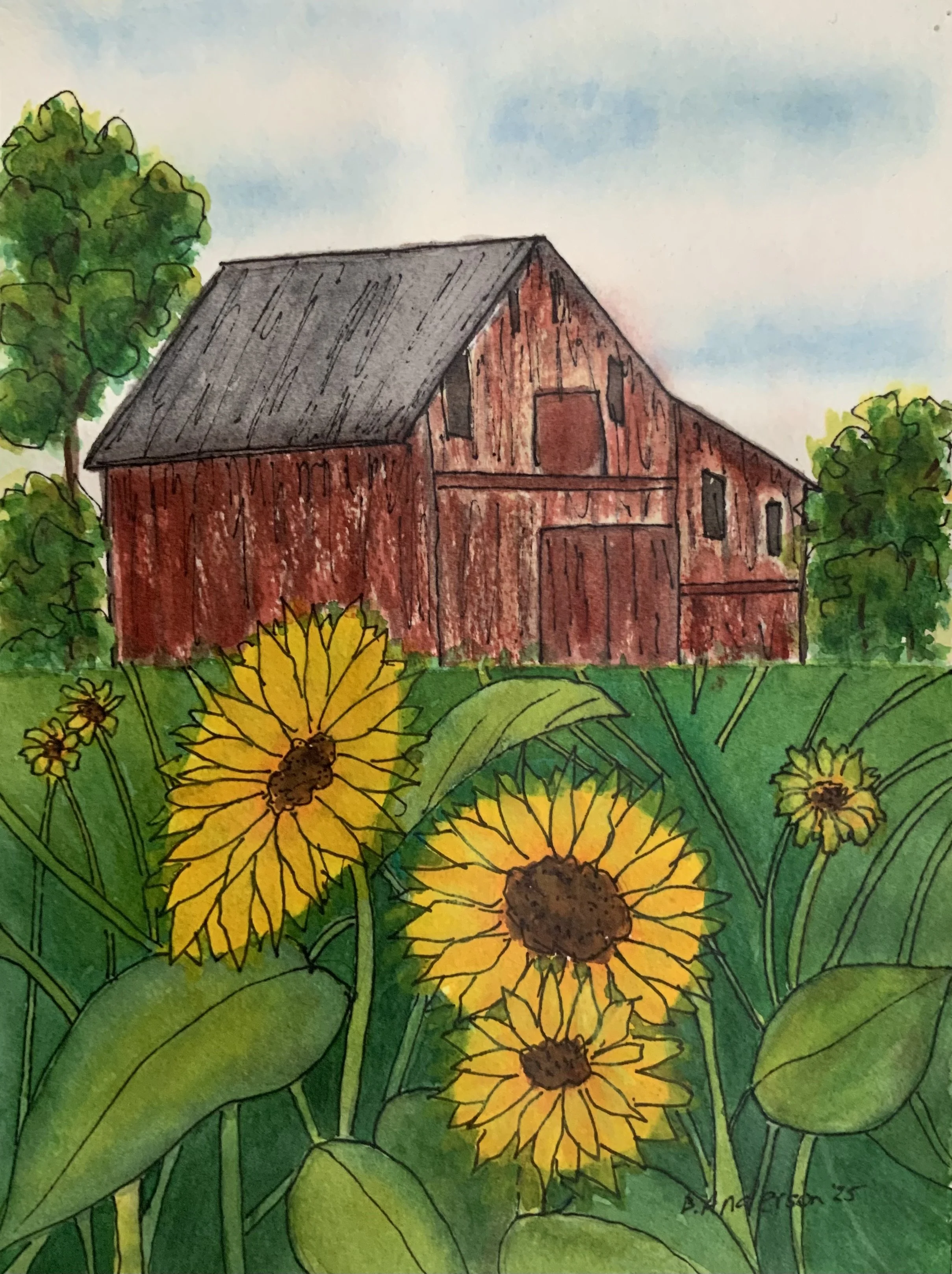 Sunflower Days by the Old Red Barn