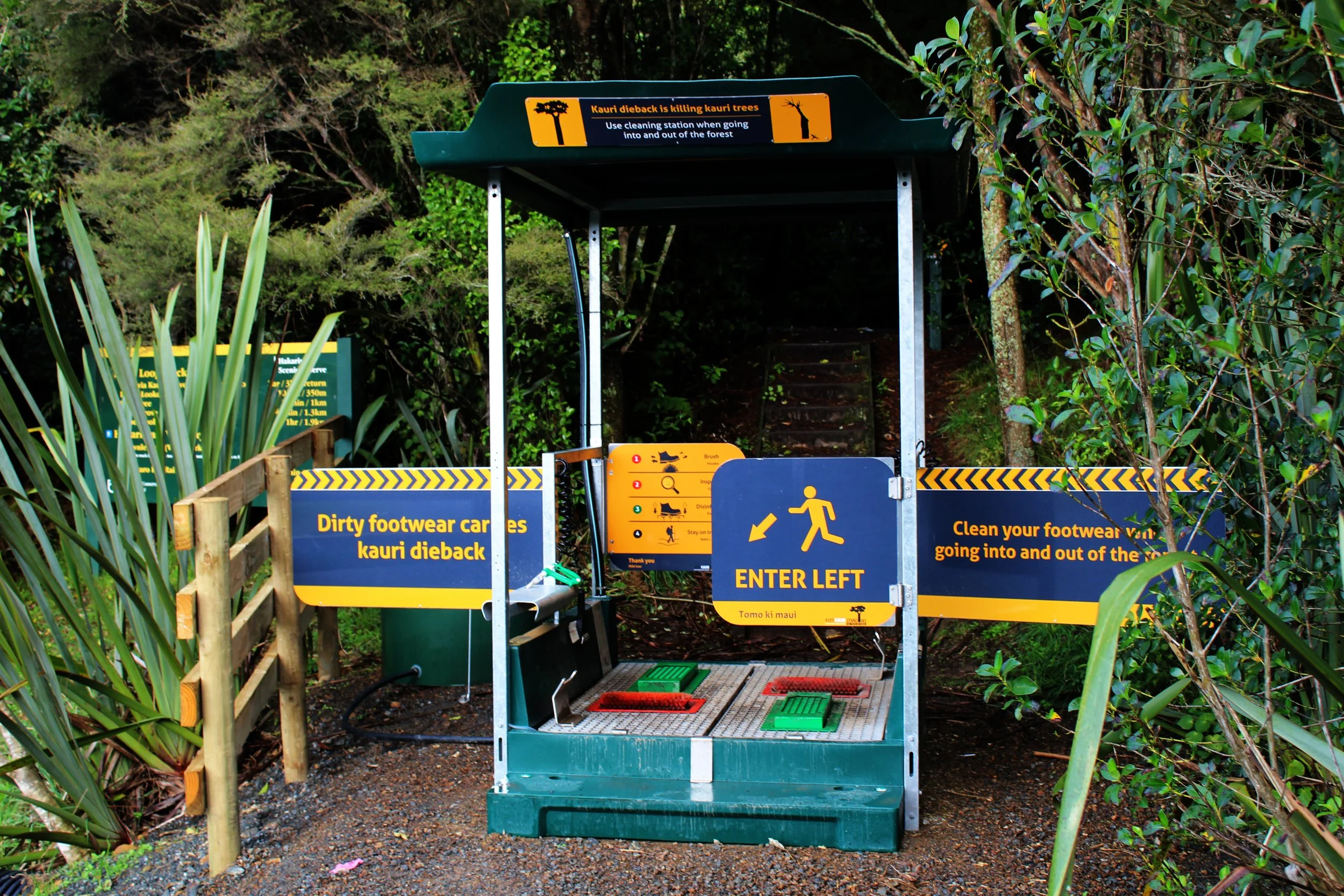 DOC Kauri Dieback Stations