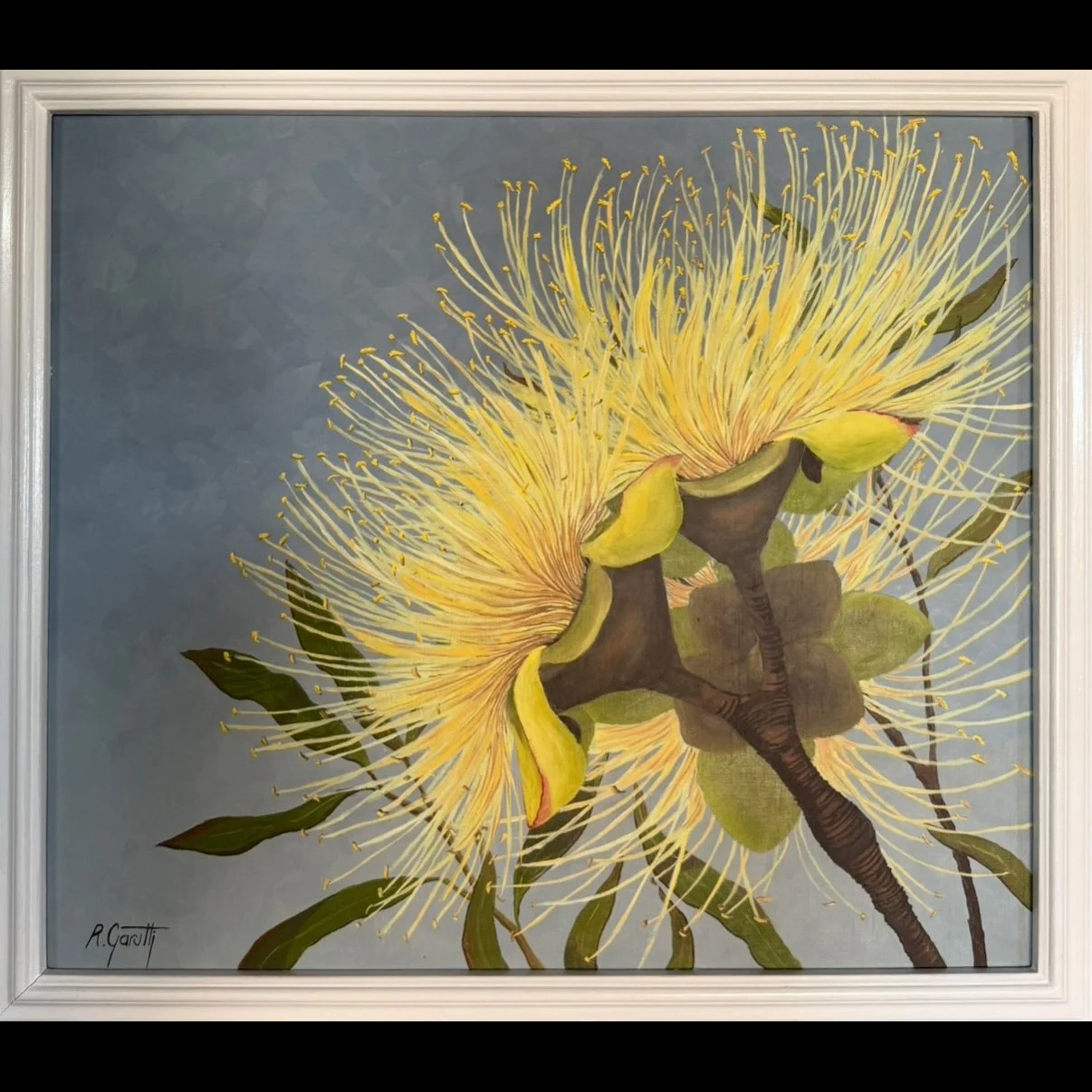 Golden Gum Blossom – Original Australian Native Flower Oil Painting