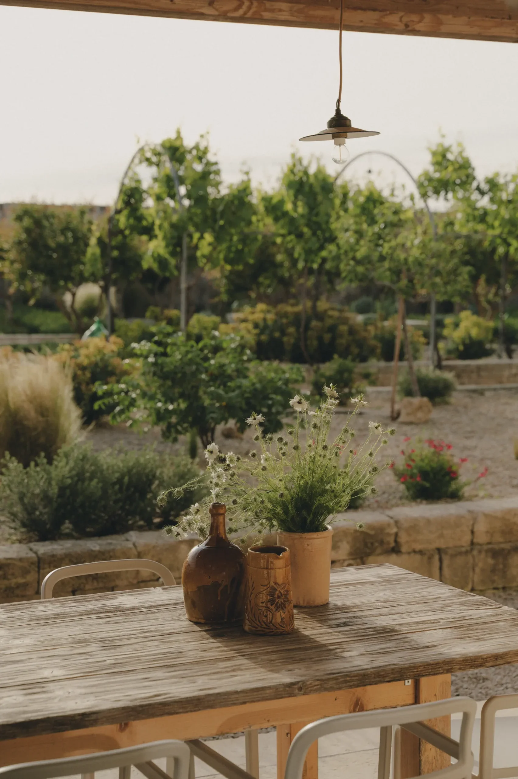 masseria 14.webp