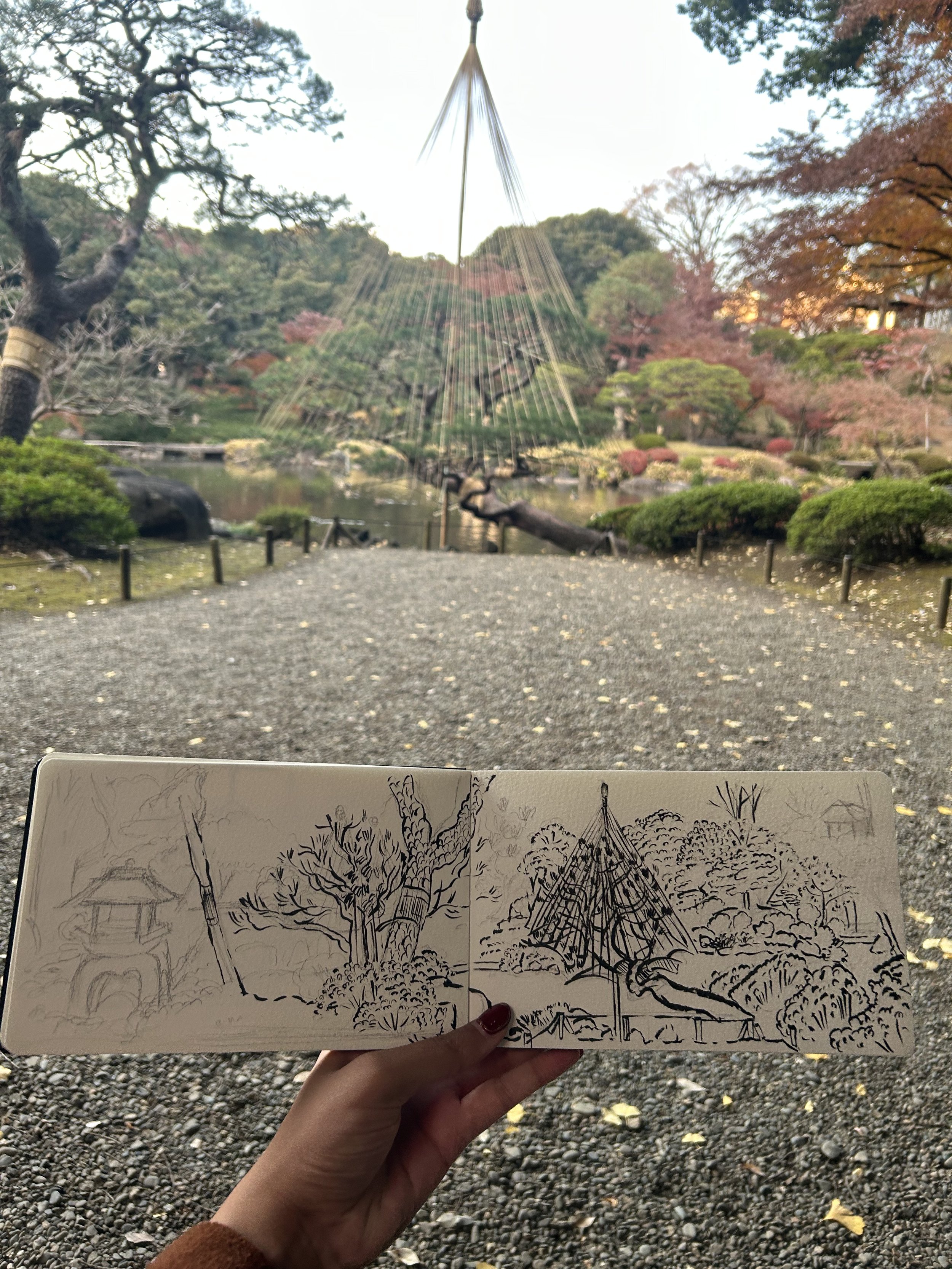 IMG_1944.jpeg