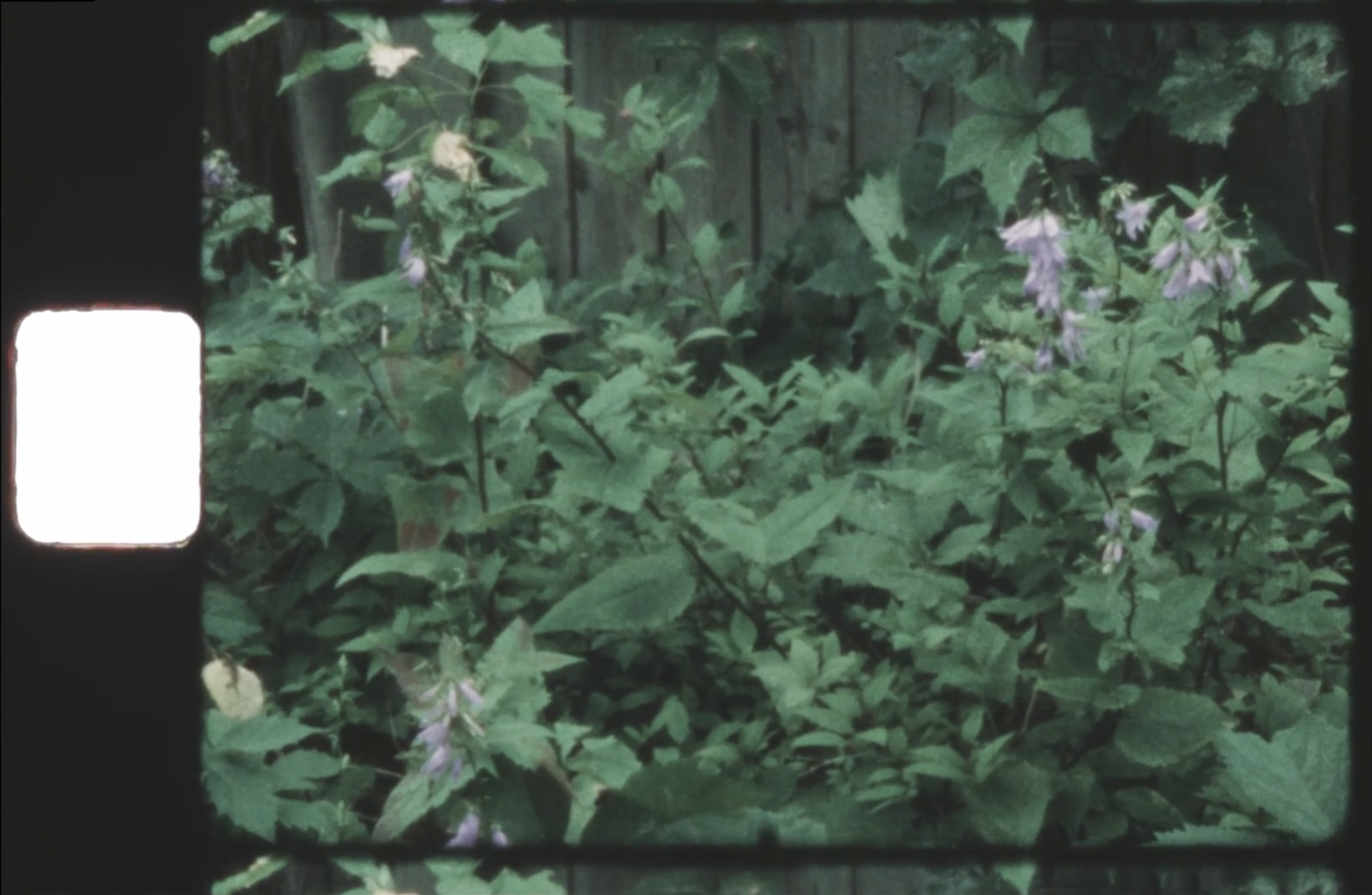 Screen Shot 2024-03-04 at 14.00.51.PNG