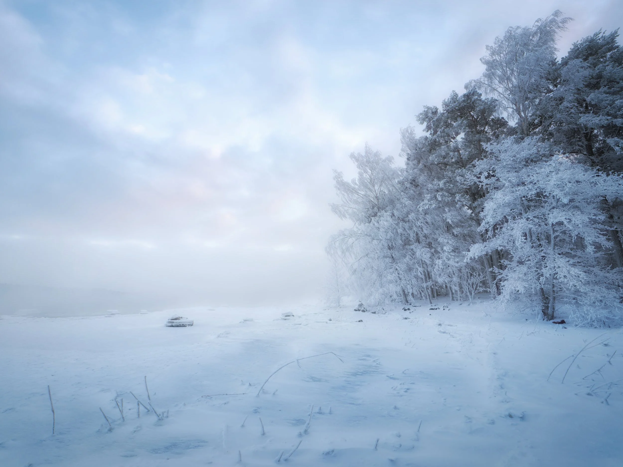 Luminen talvimaisema Uutelassa, Helsingissä. Jäätynyt merenranta ja huurteisia puita sumuisena talvipäivänä pastellisävyisellä taivaalla.
