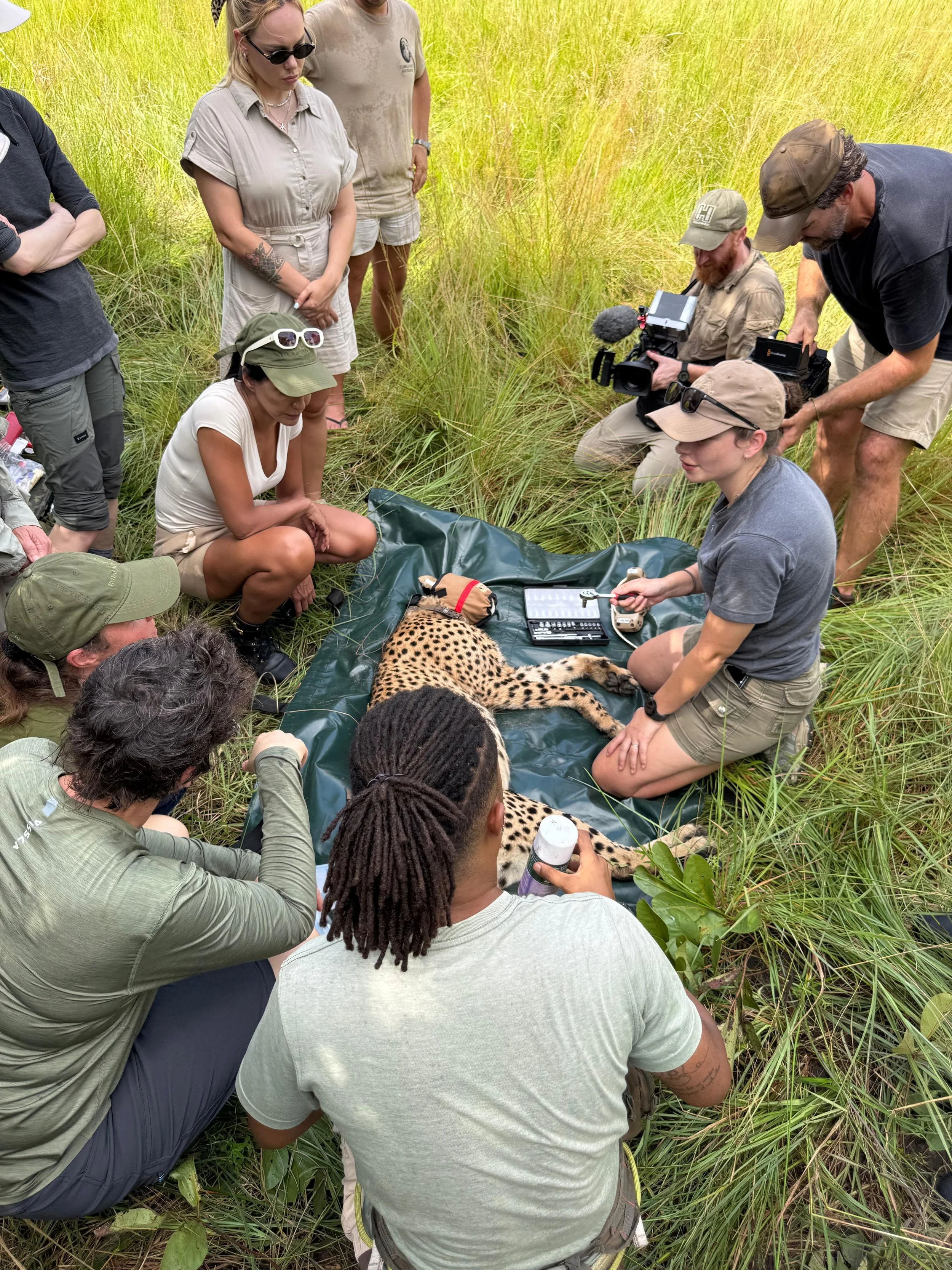 WhatsApp Image 2026-03-31 at 18.18.19.jpeg