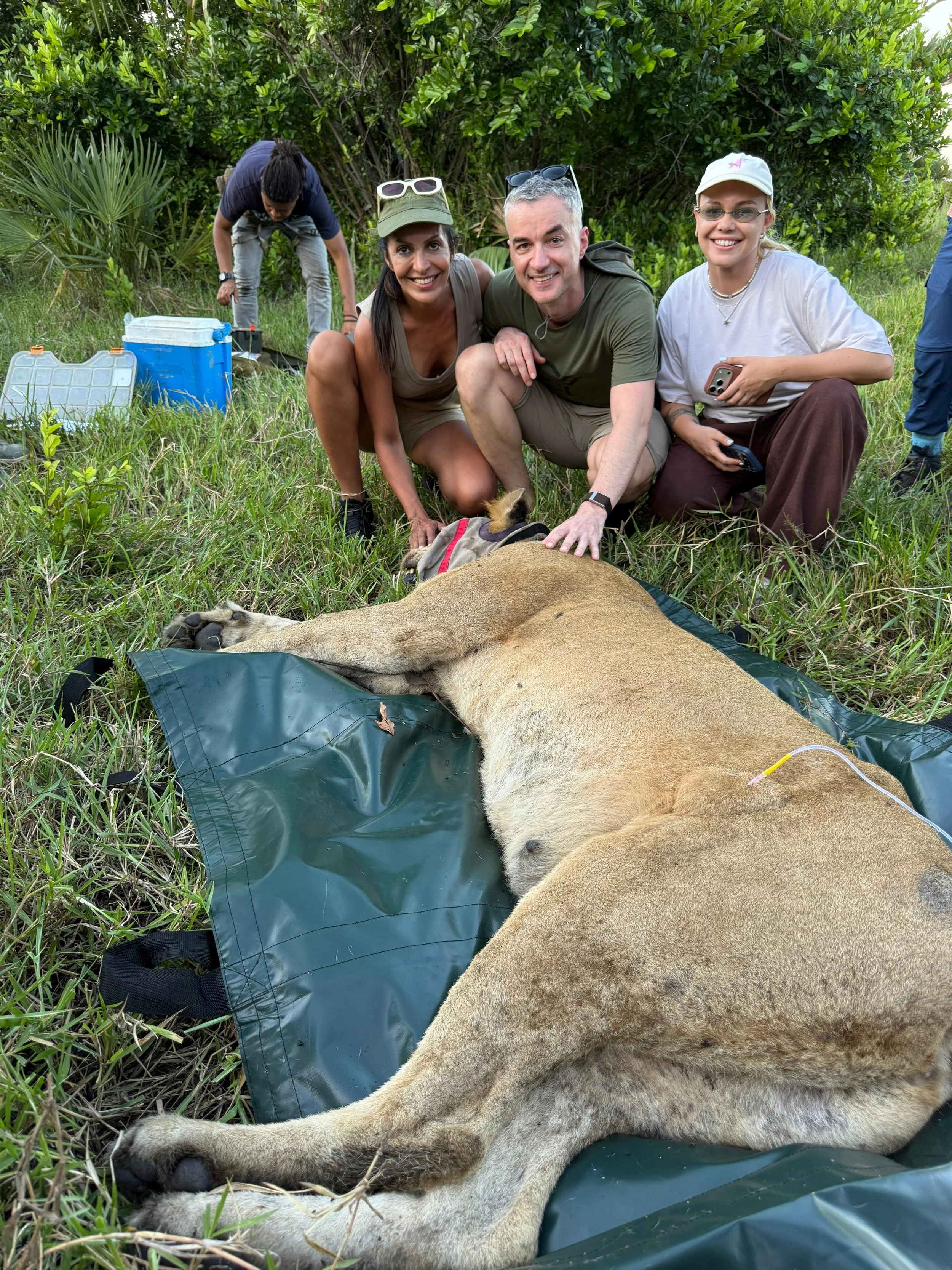 WhatsApp Image 2026-03-31 at 18.24.50.jpeg