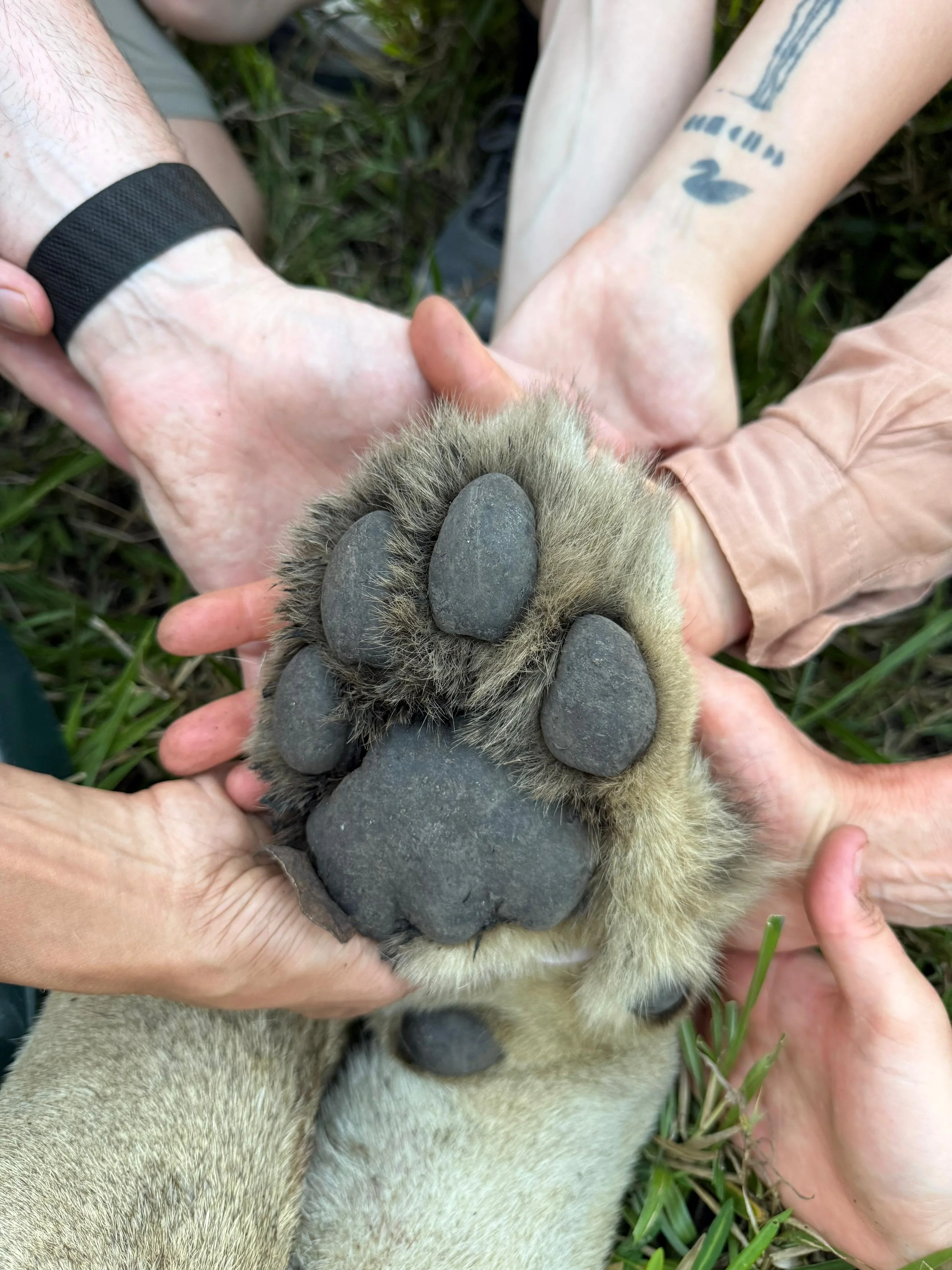 WhatsApp Image 2026-03-31 at 18.23.52.jpeg