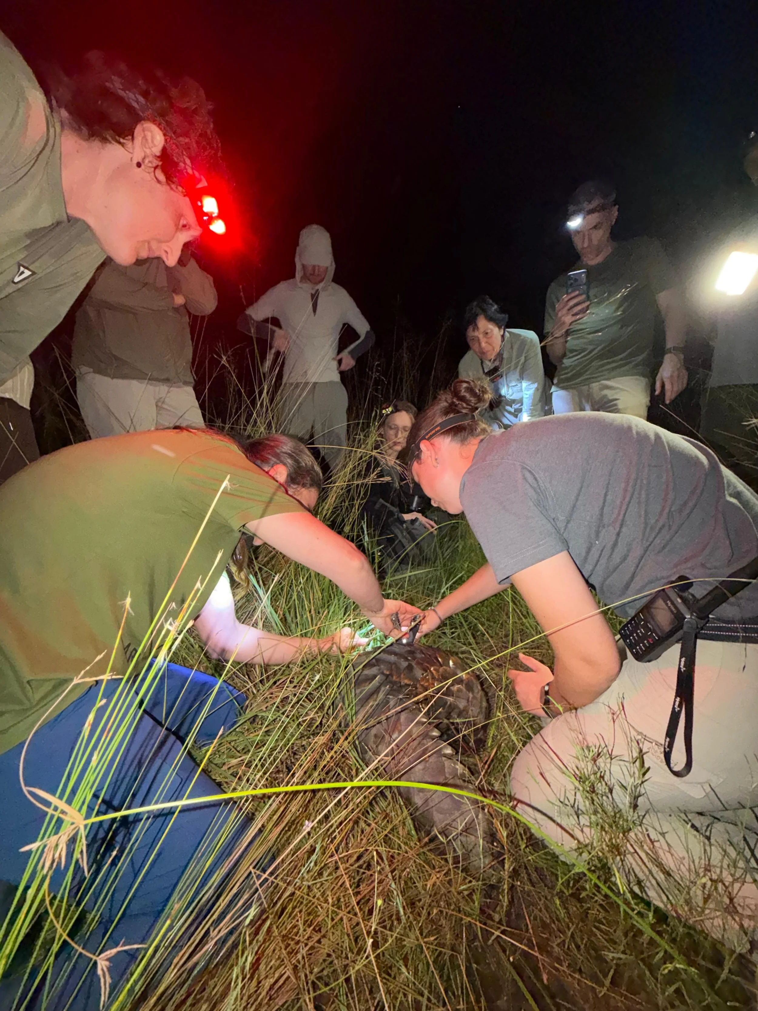 WhatsApp Image 2026-04-20 at 19.09.20.jpeg