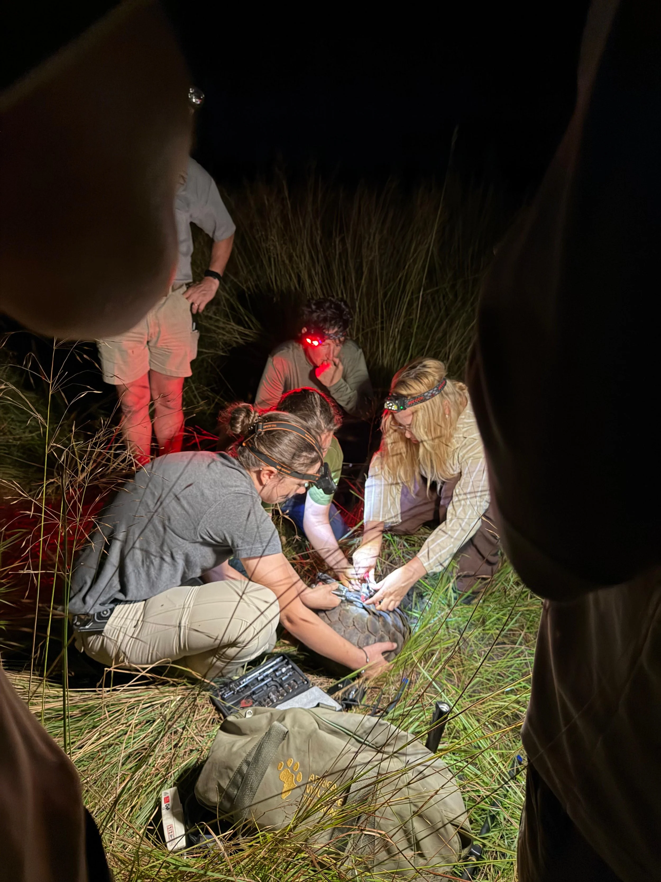 WhatsApp Image 2026-04-20 at 19.09.14.jpeg