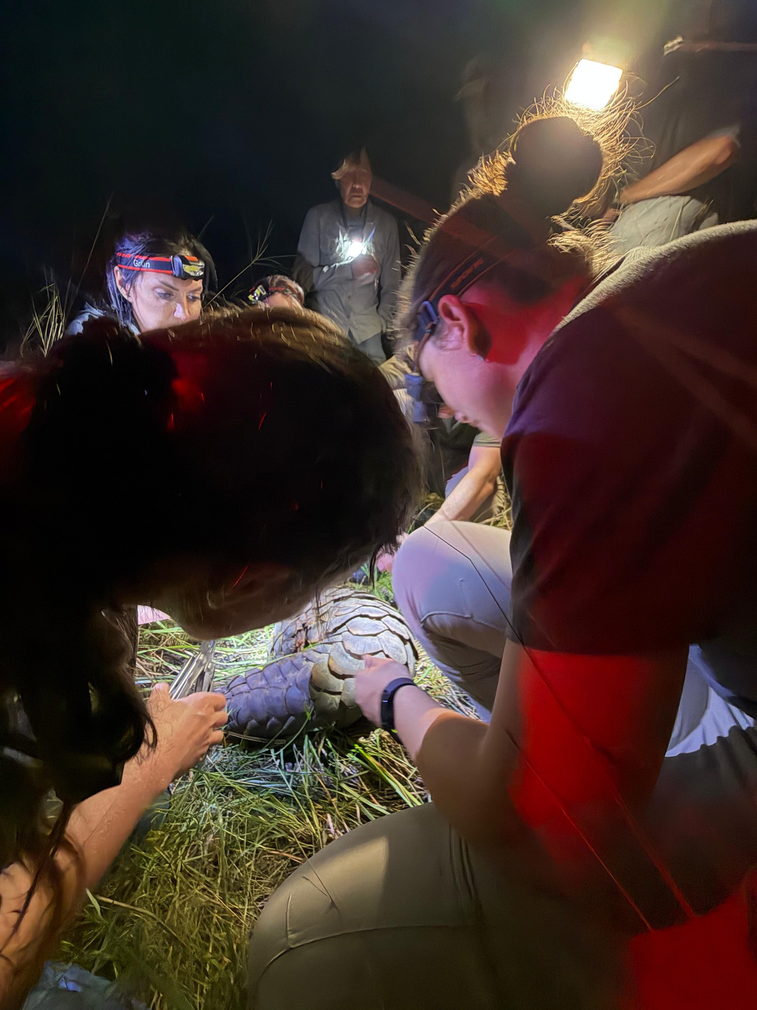 WhatsApp Image 2026-04-20 at 19.09.12 (1).jpeg