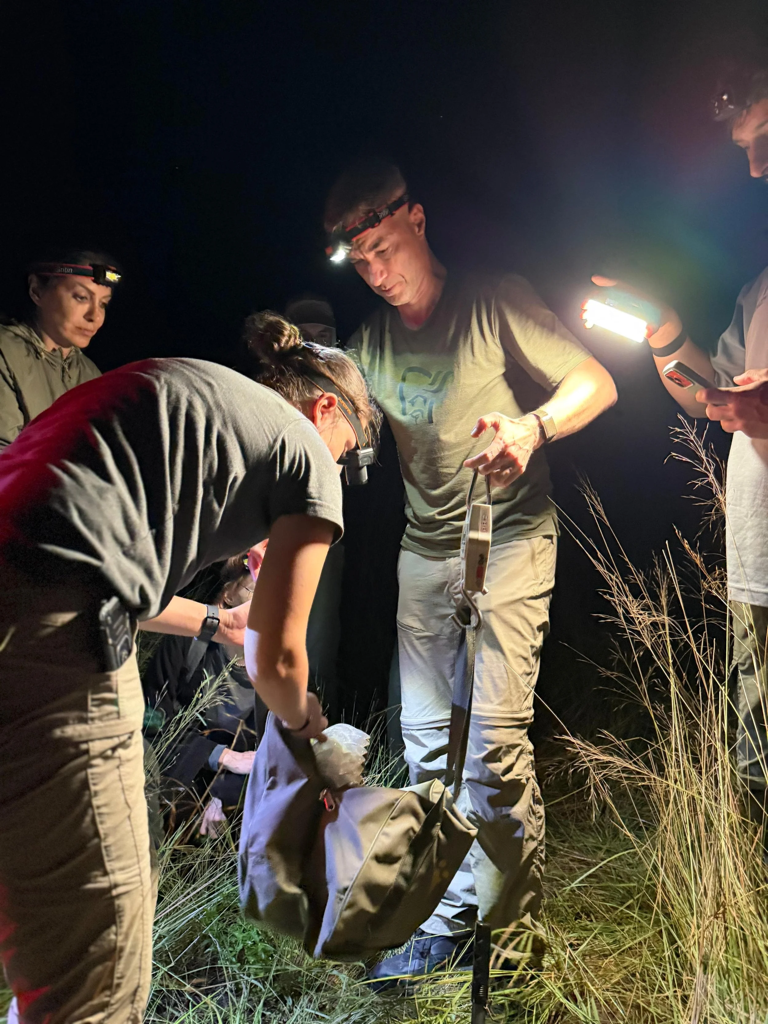 WhatsApp Image 2026-04-20 at 19.09.12.jpeg