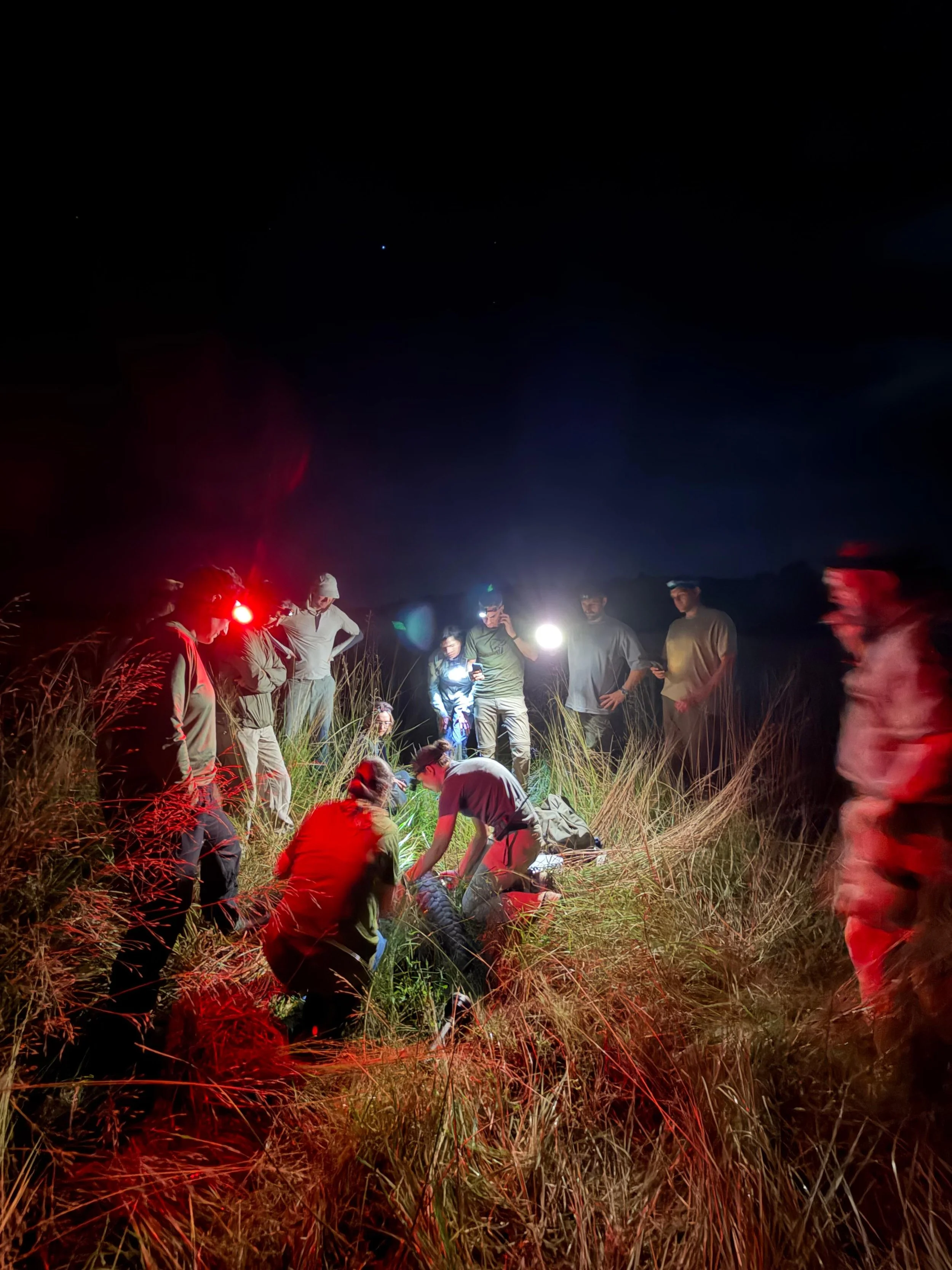 WhatsApp Image 2026-04-20 at 19.09.10.jpeg