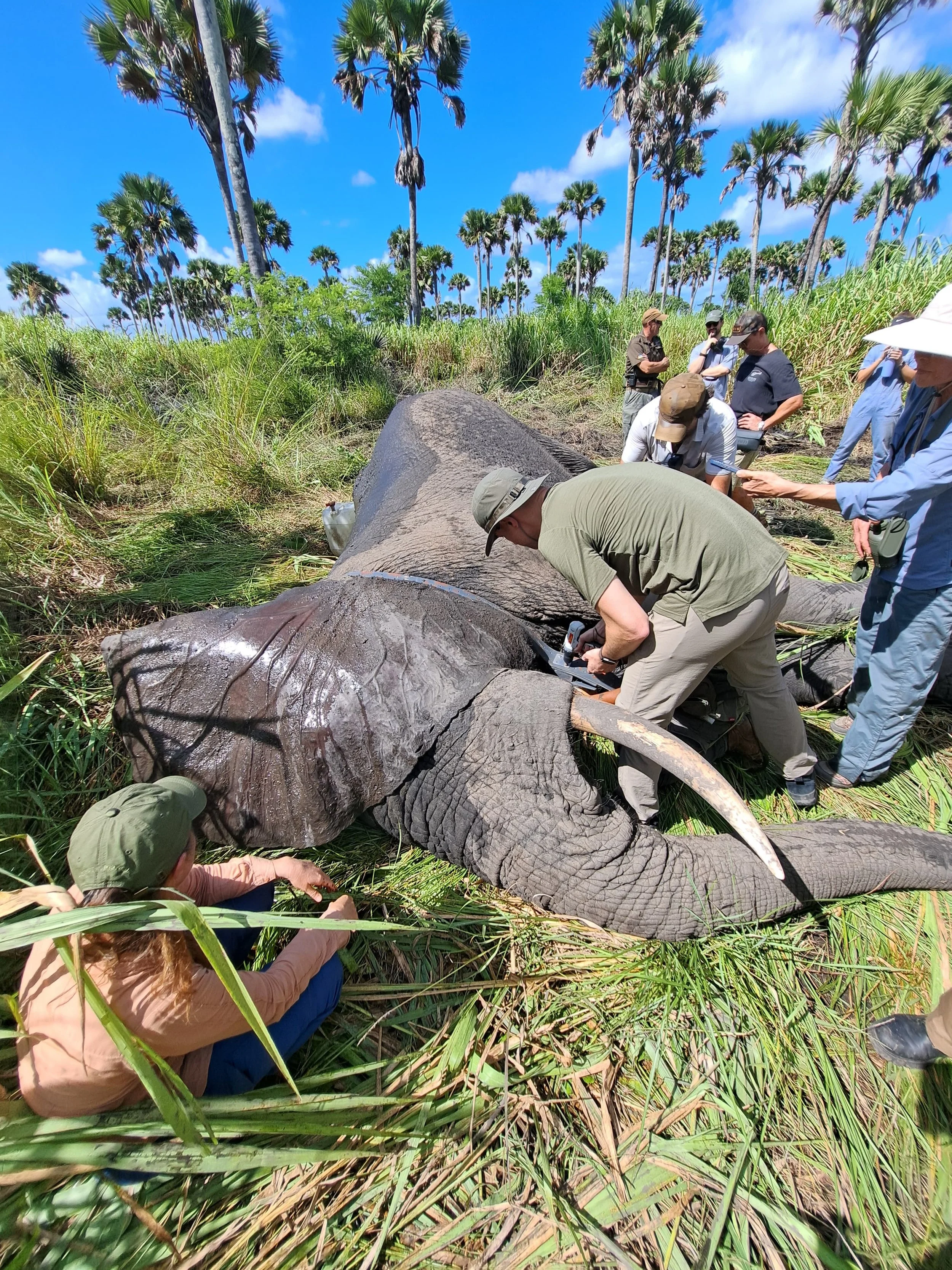 WhatsApp Image 2026-04-04 at 11.28.41.jpeg