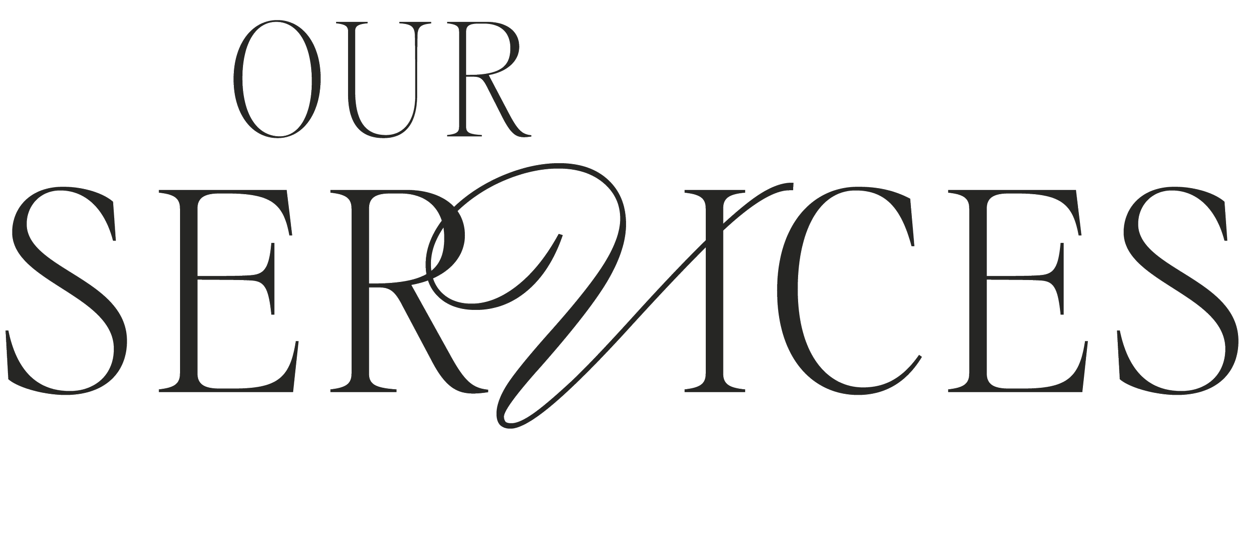 Text graphic that says 'Our Services' in a stylised font.