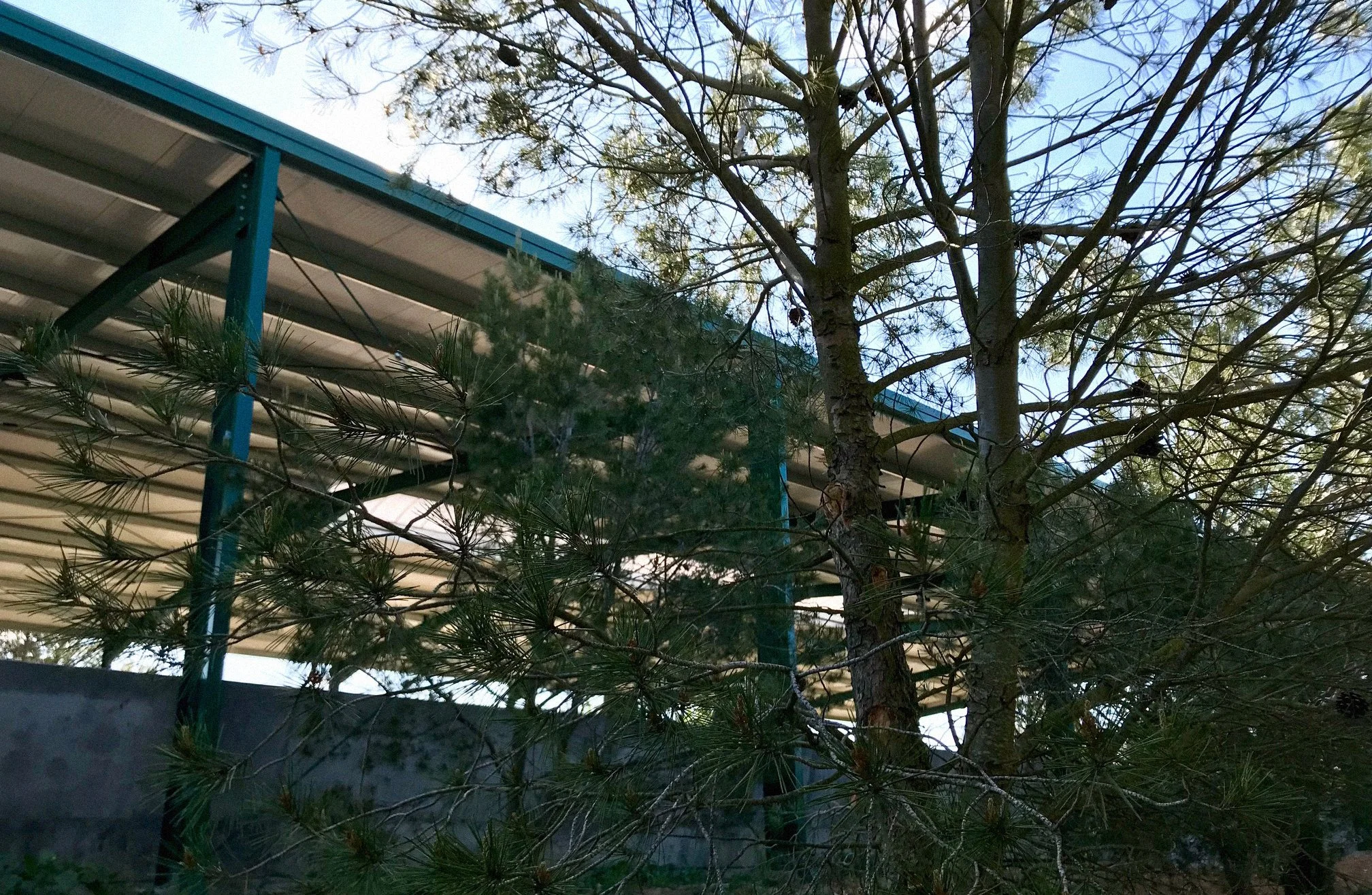Picadero (8).jpg