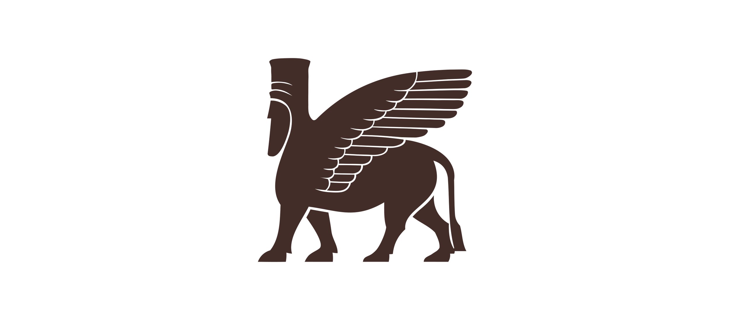 Logo Naji SC - Solo Toro.jpg