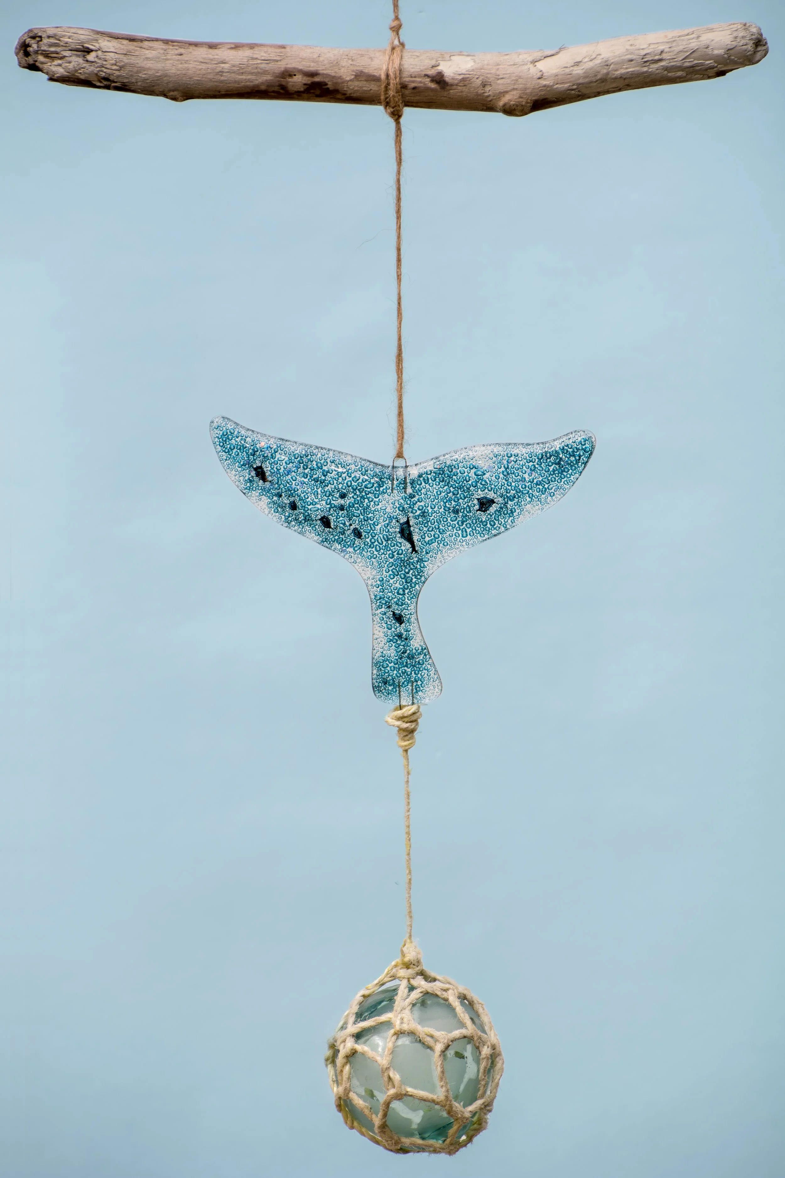 DSC_9039-Edit.jpg