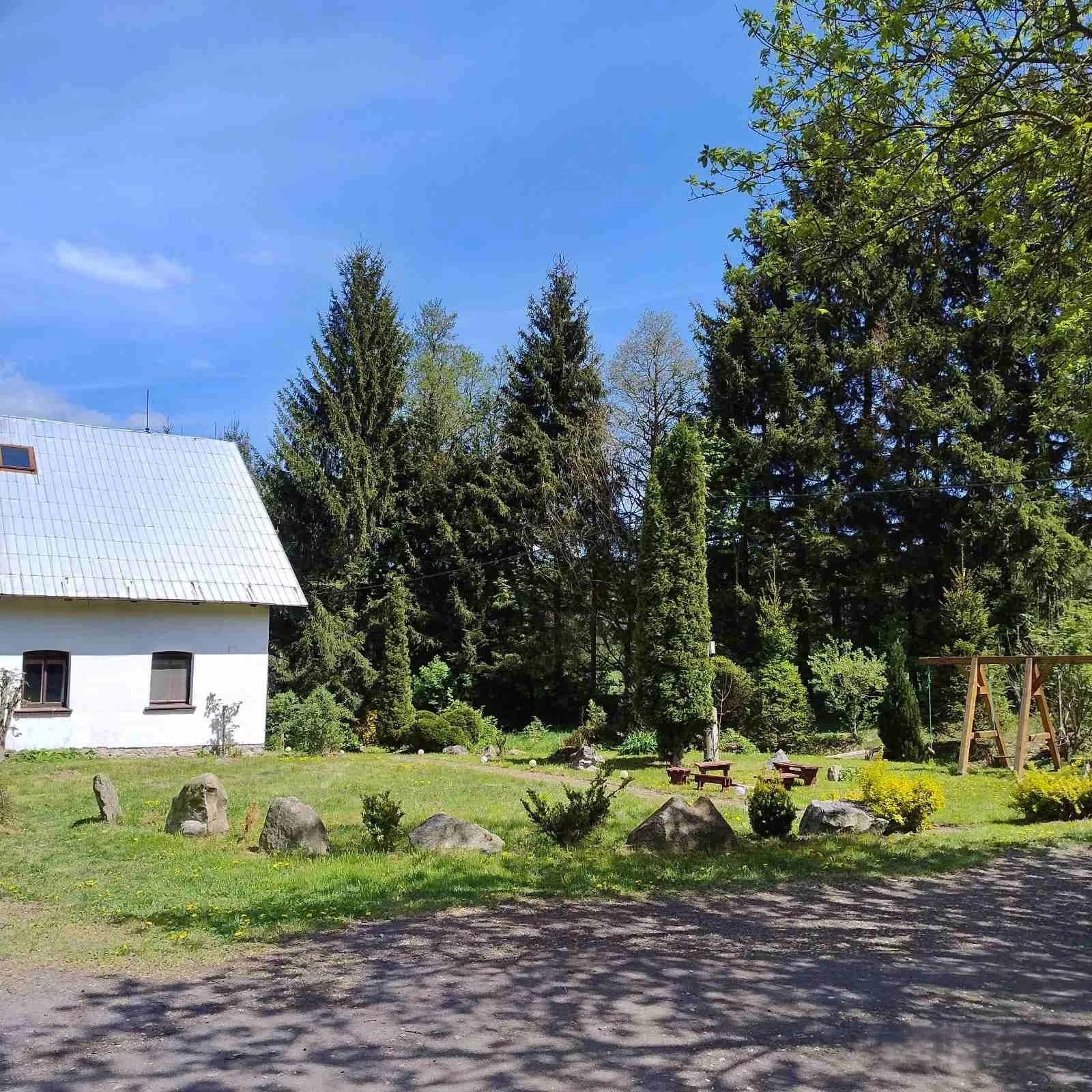 A peaceful yard with a white house, tall evergreen trees, a swing set, and a grassy area with rocks and bushes on a sunny day.