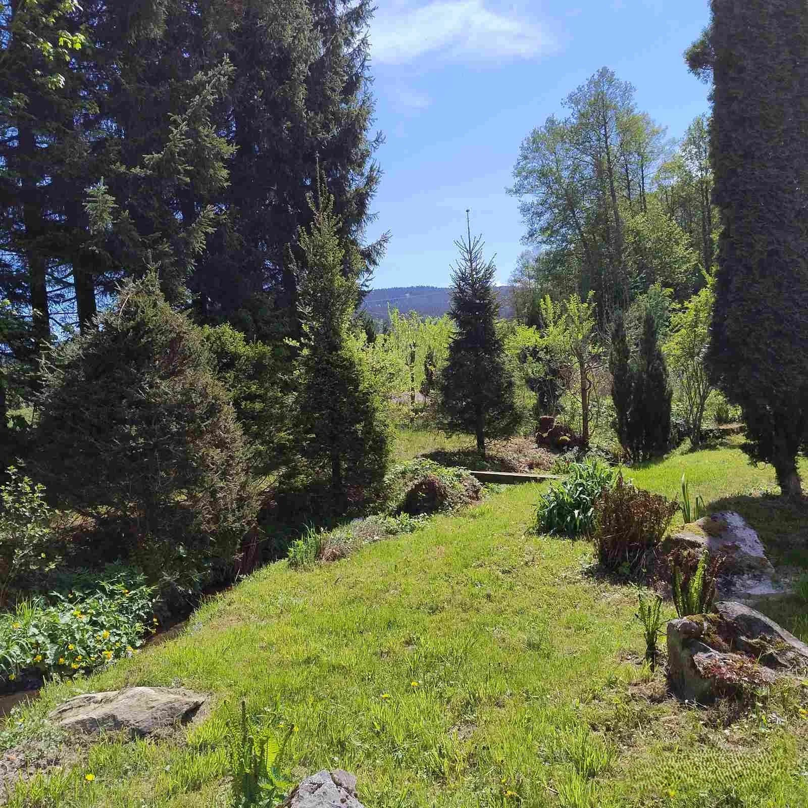 A lush, green garden with mowed grass, various trees including evergreens, flowering plants, and shrubs, against a backdrop of a mountain and a bright blue sky with some clouds.
