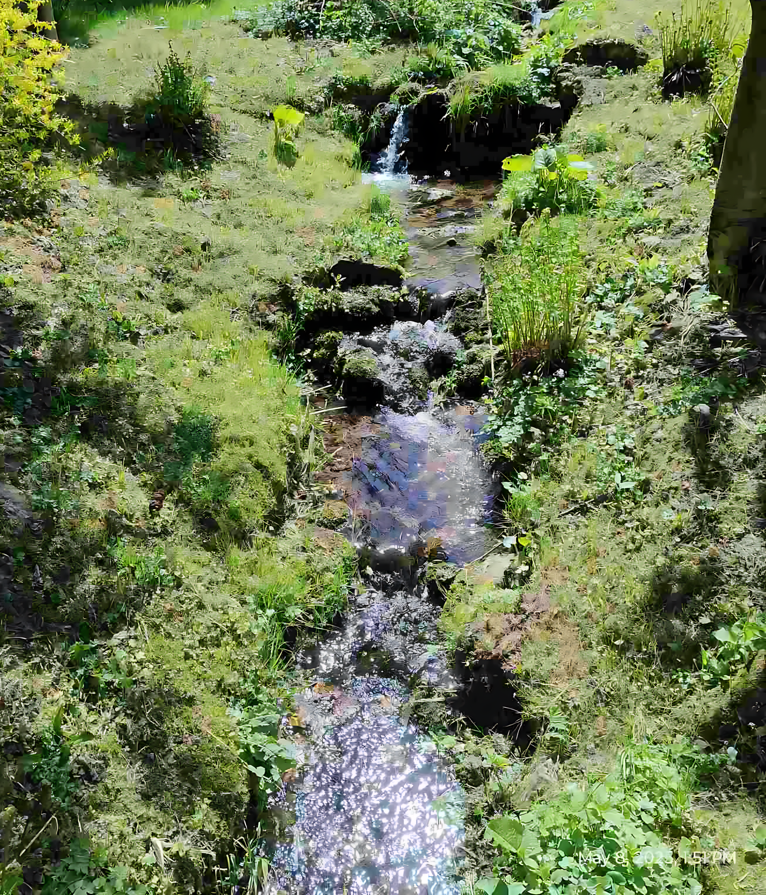 A small creek runs through a lush green garden with grass, plants, and rocks, with sunlight reflecting on the water's surface.