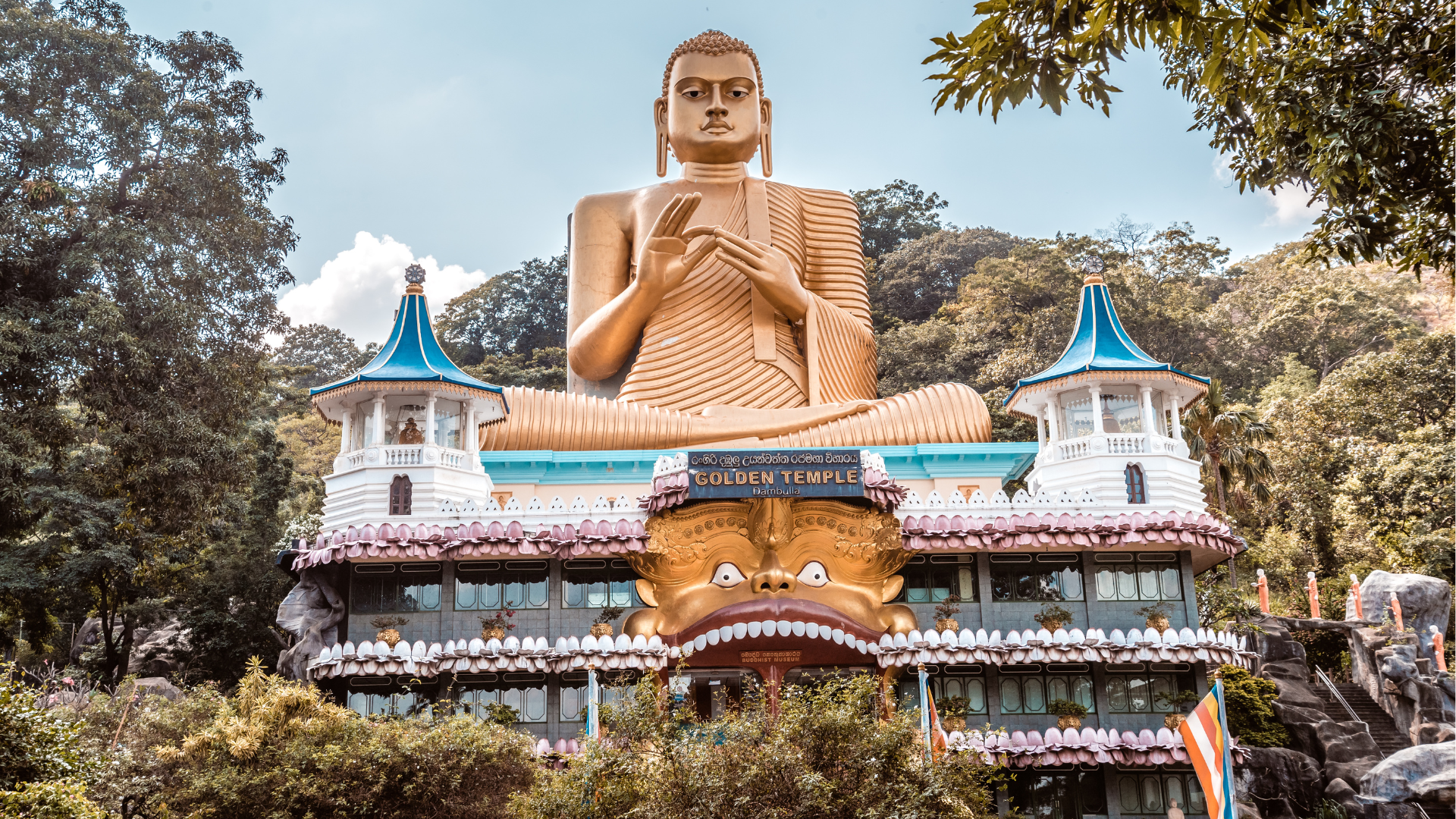 Ontdek Sri Lanka met Roots & Rising
