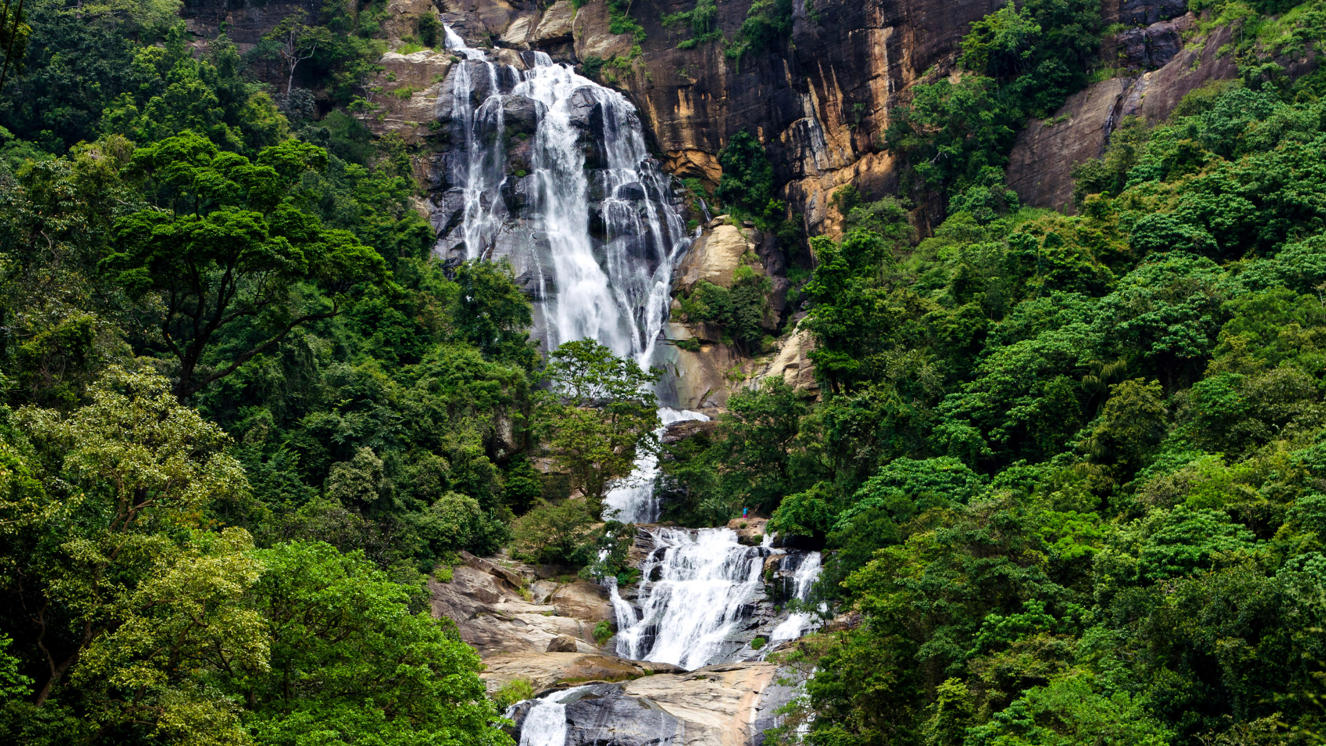 Solo reizen door Sri Lanka, ontdek de watervallen en de natuur