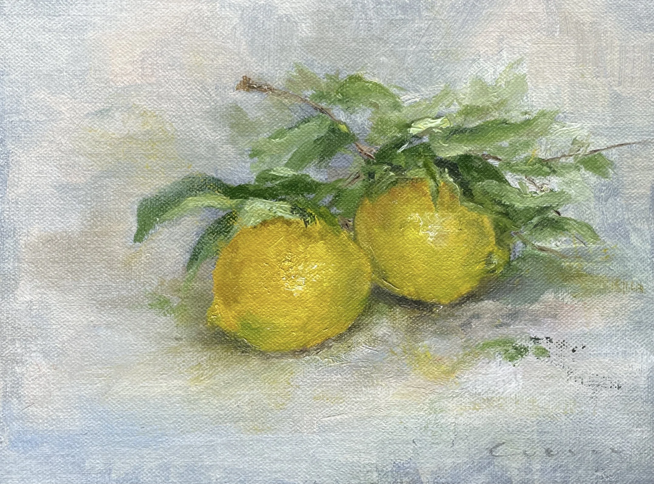 Two lemons | oil and cold wax on panel | 15 x 20 cm | framed | SOLD