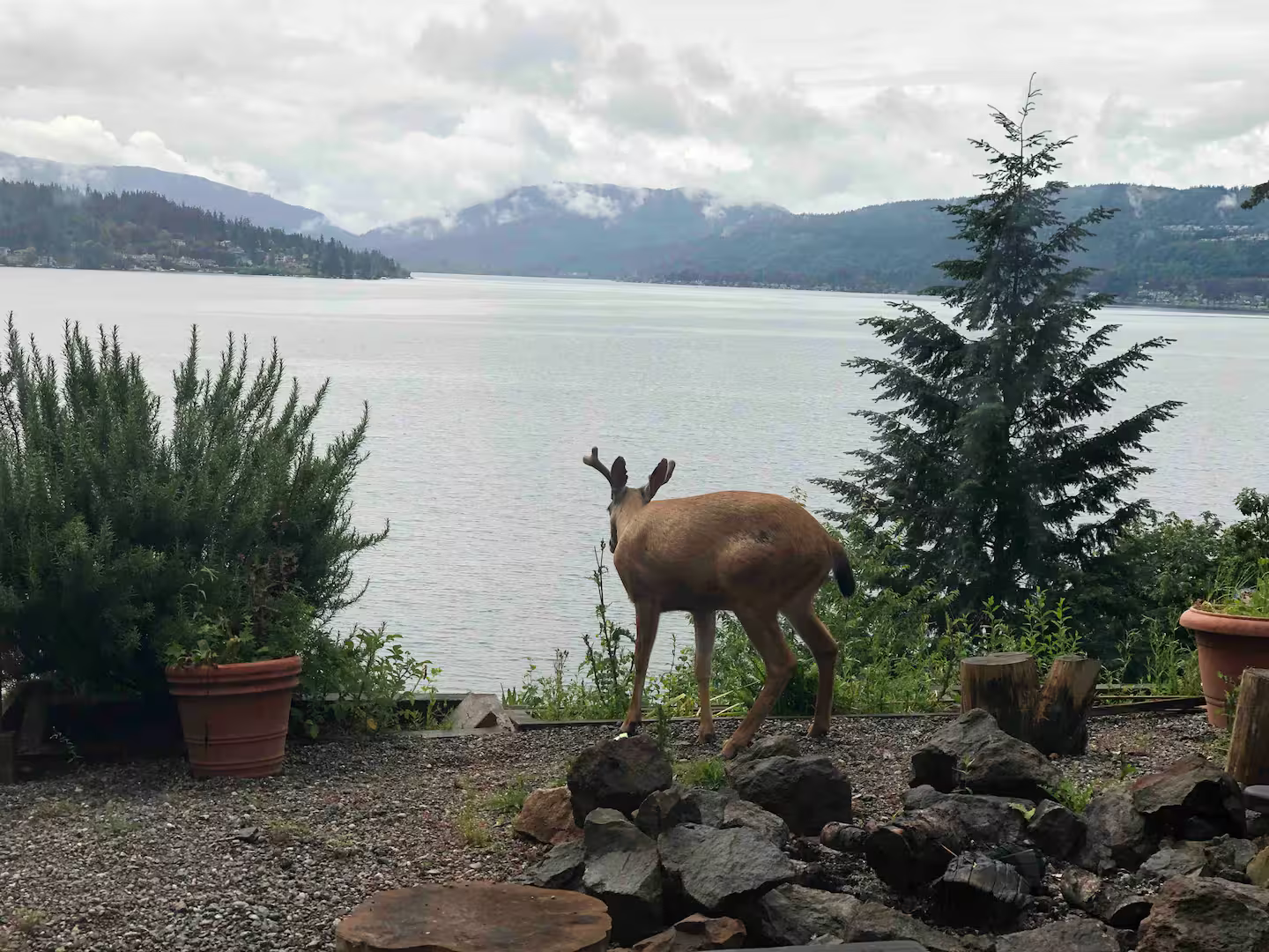 Lake House Outdoors.png
