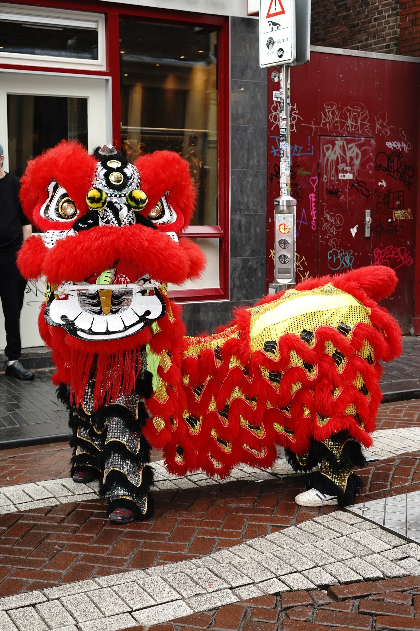 DSC03767.jpg