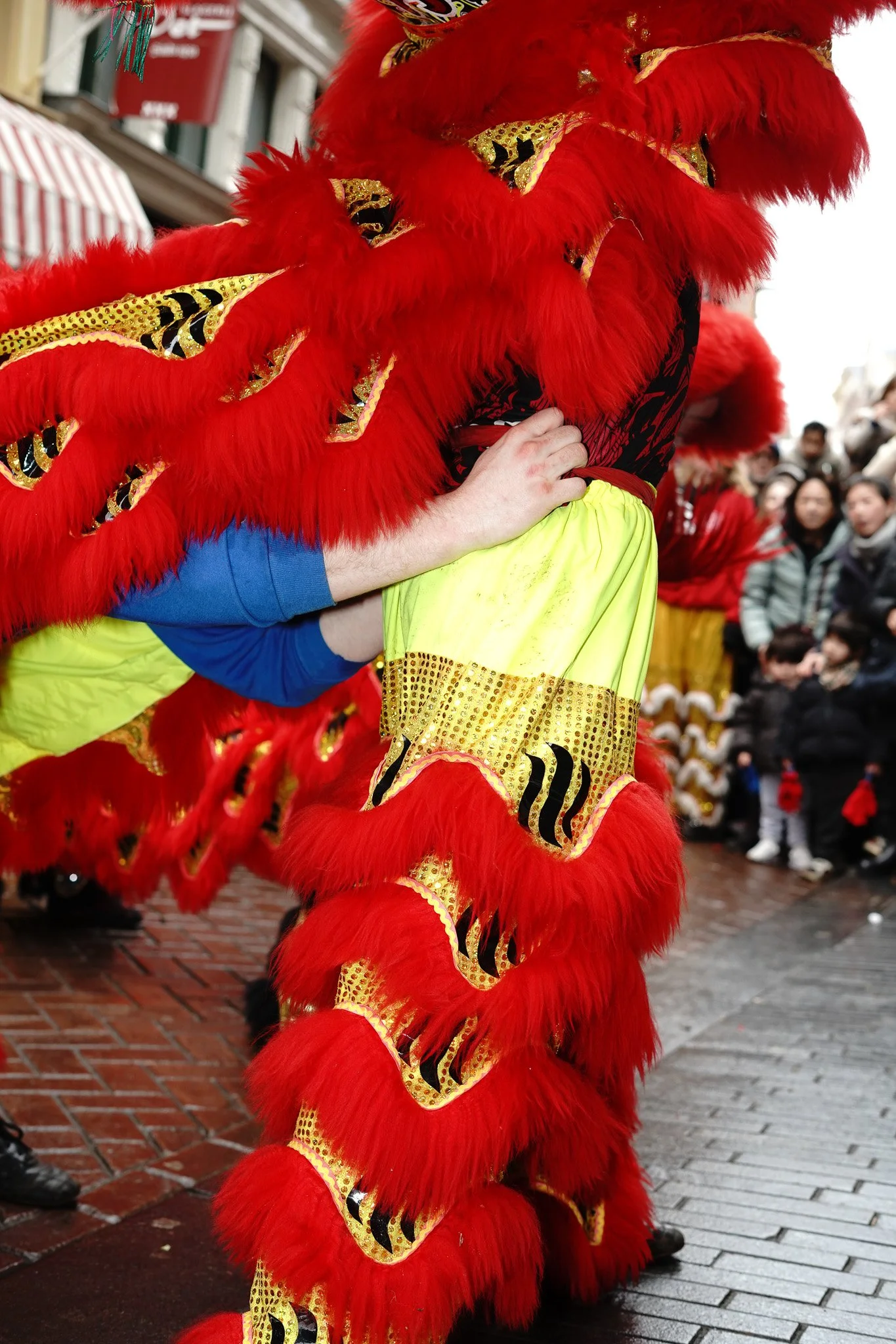 DSC03681.jpg