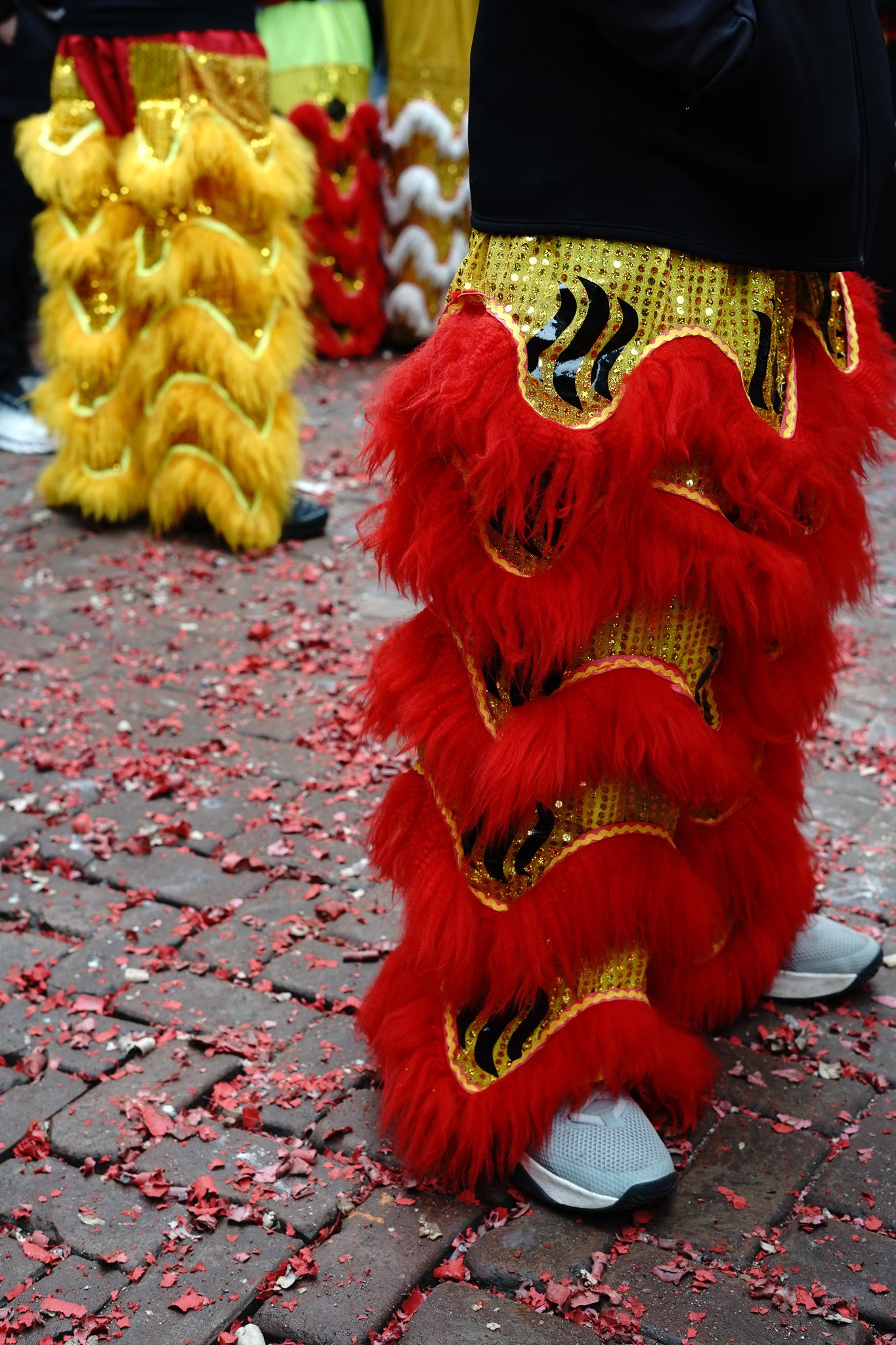 DSC03848.jpg